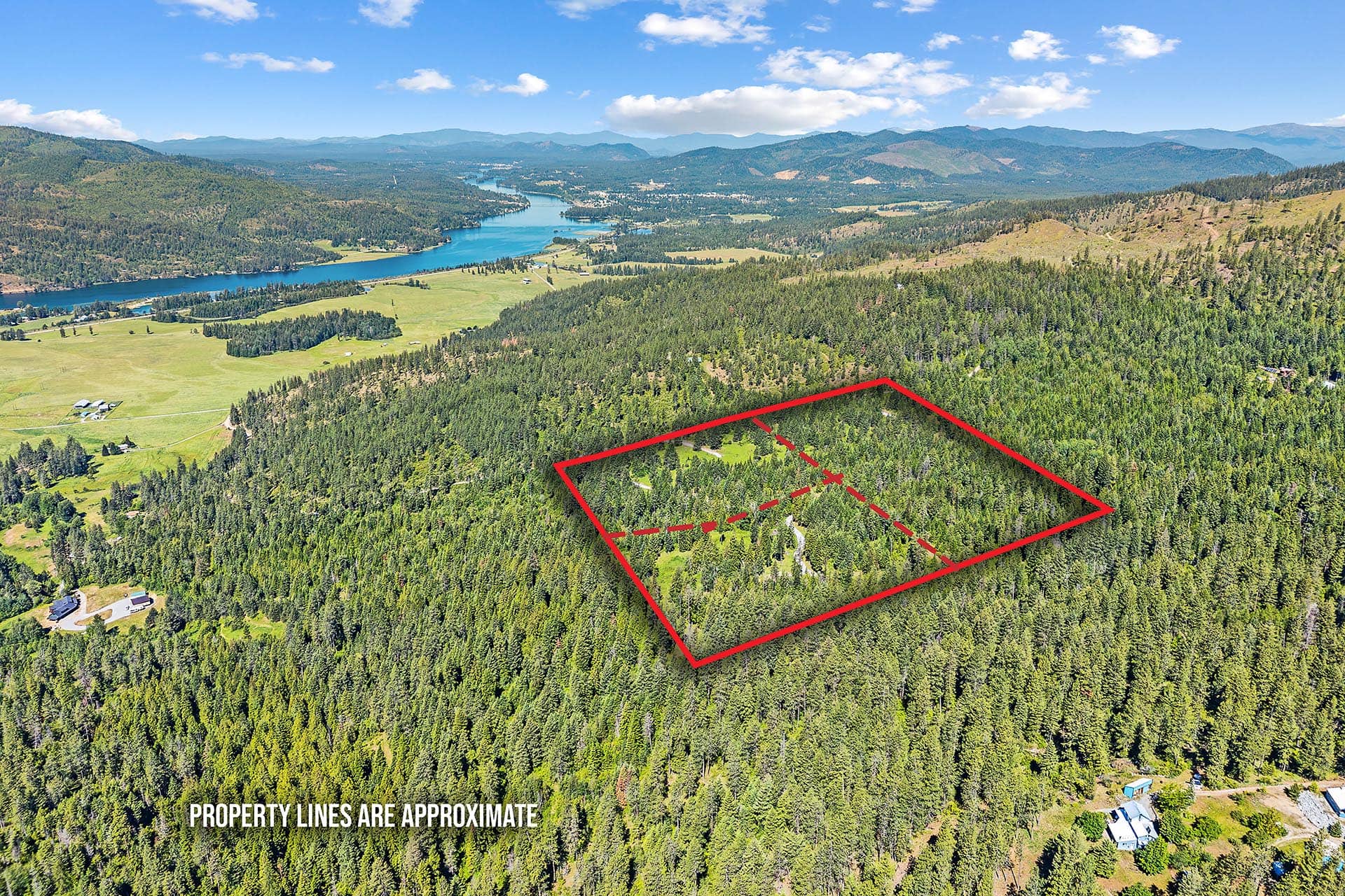 Aerial view of a pine forest with a large red rectangle marking a property, dashed lines show approximate boundaries.