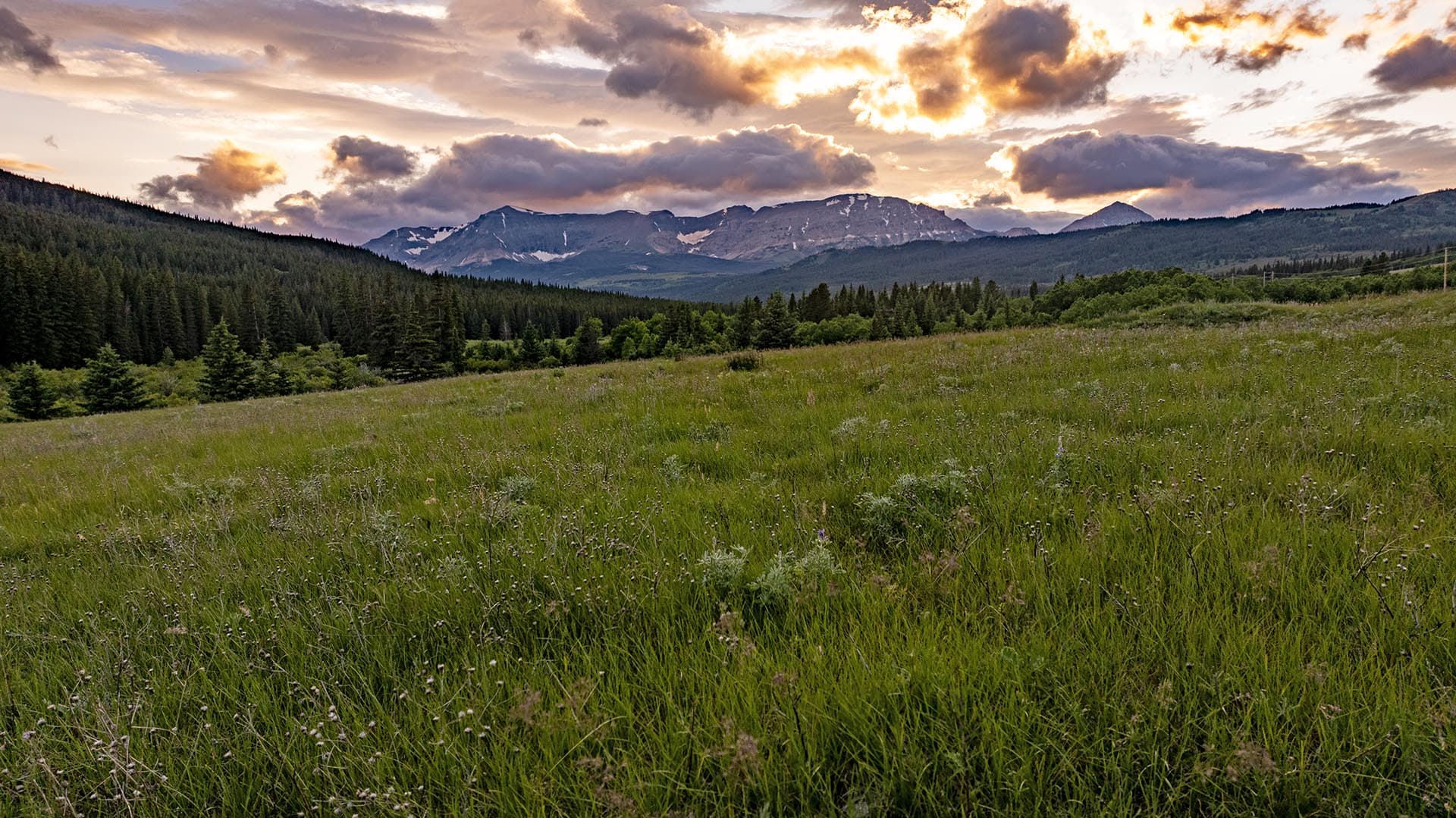 recreational land for sale montana cutbank creek fishing retreat