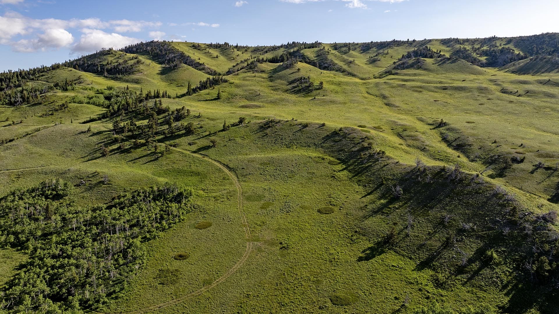 recreational land for sale view montana cutbank creek fishing retreat