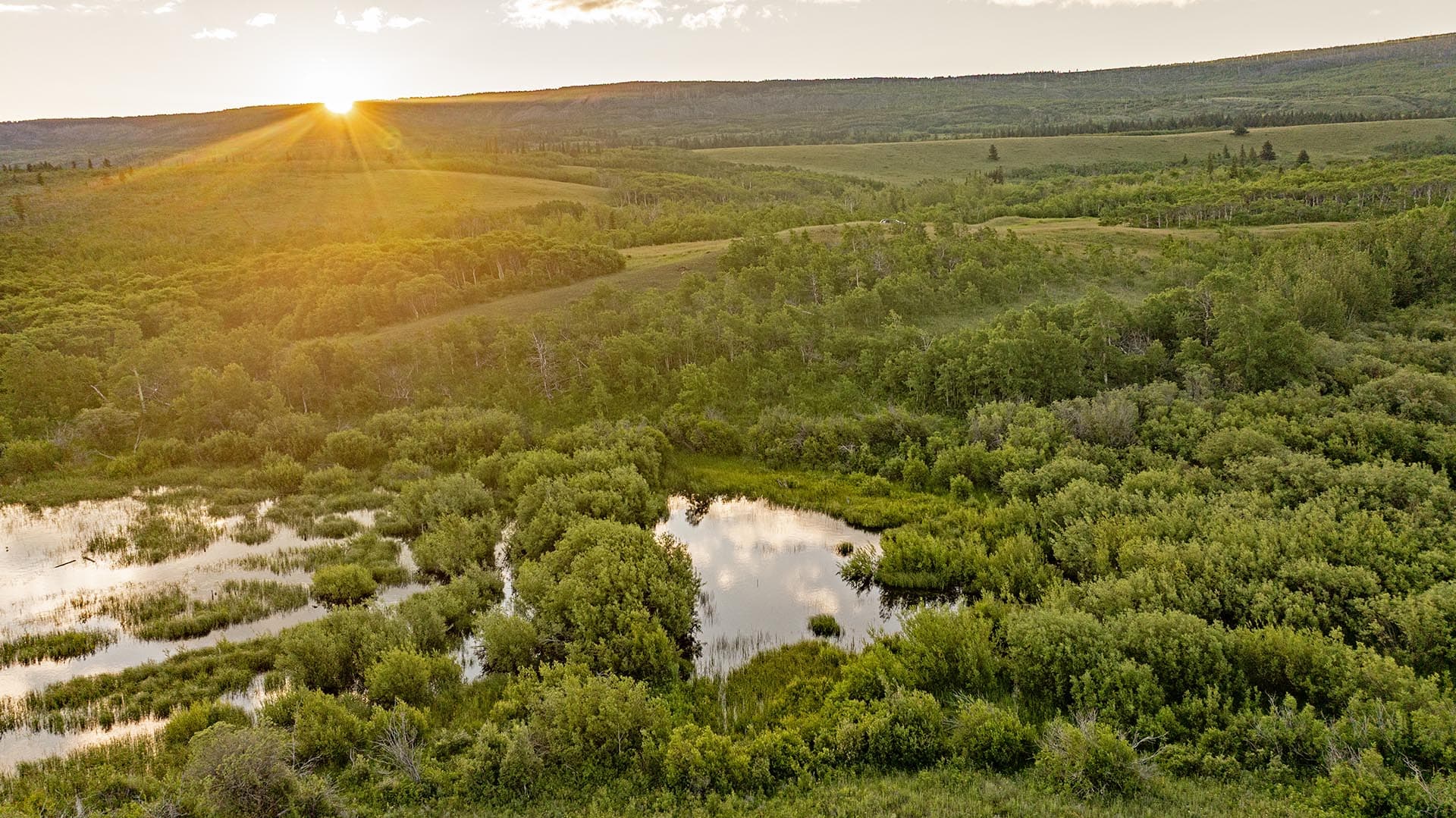 panoramic lake view land for sale montana st. mary overlook