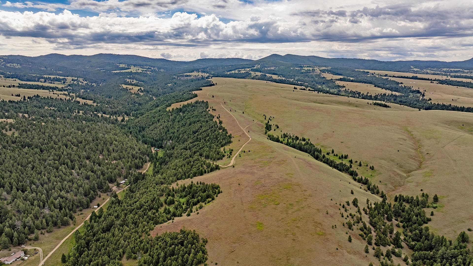 recreational land with timbered hills montana spotted dog retreat