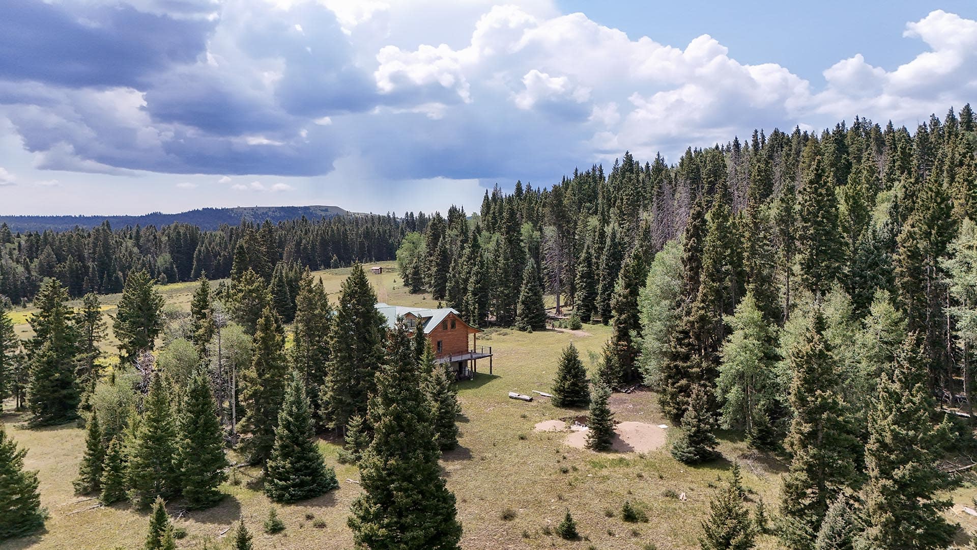 Wooden cabin with a metal roof in a grassy clearing surrounded by tall evergreen trees under a cloudy sky.
