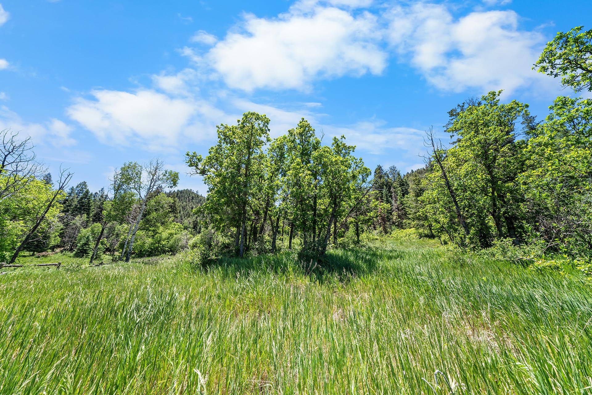 residential lots pagosa springs co colorado pagosa peak horseman’s retreat