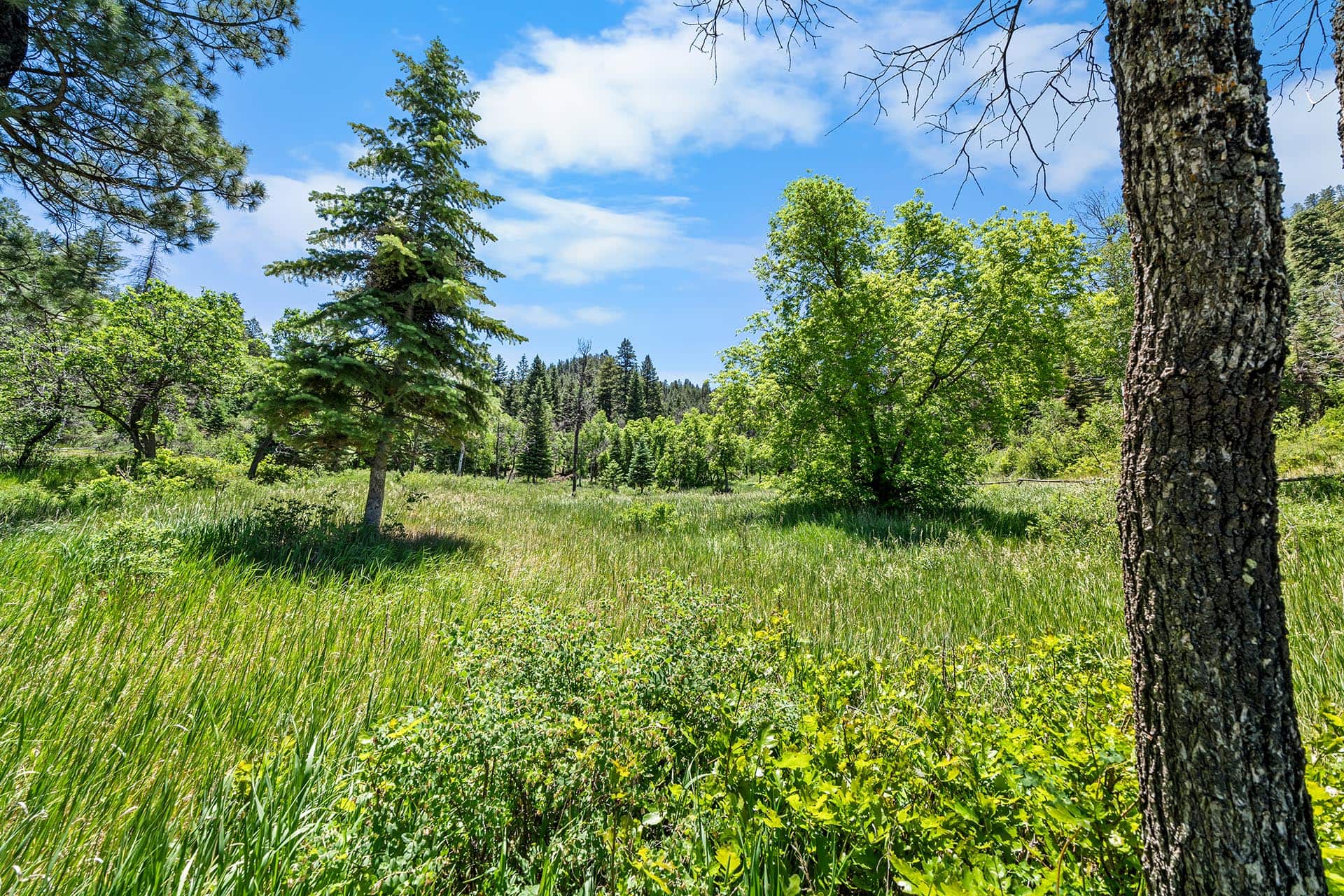 residential lots pagosa springs colorado pagosa peak horseman’s retreat