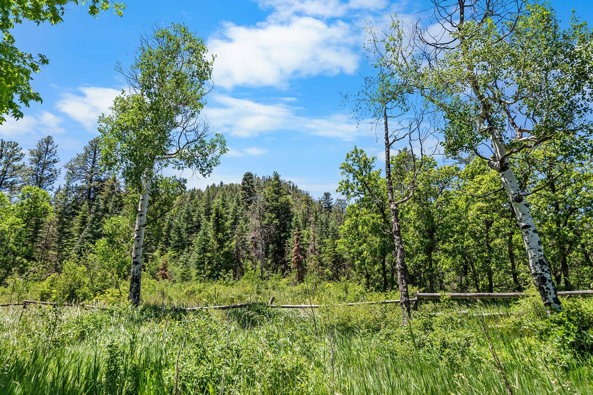 retirement homes pagosa springs colorado pagosa peak horseman’s retreat