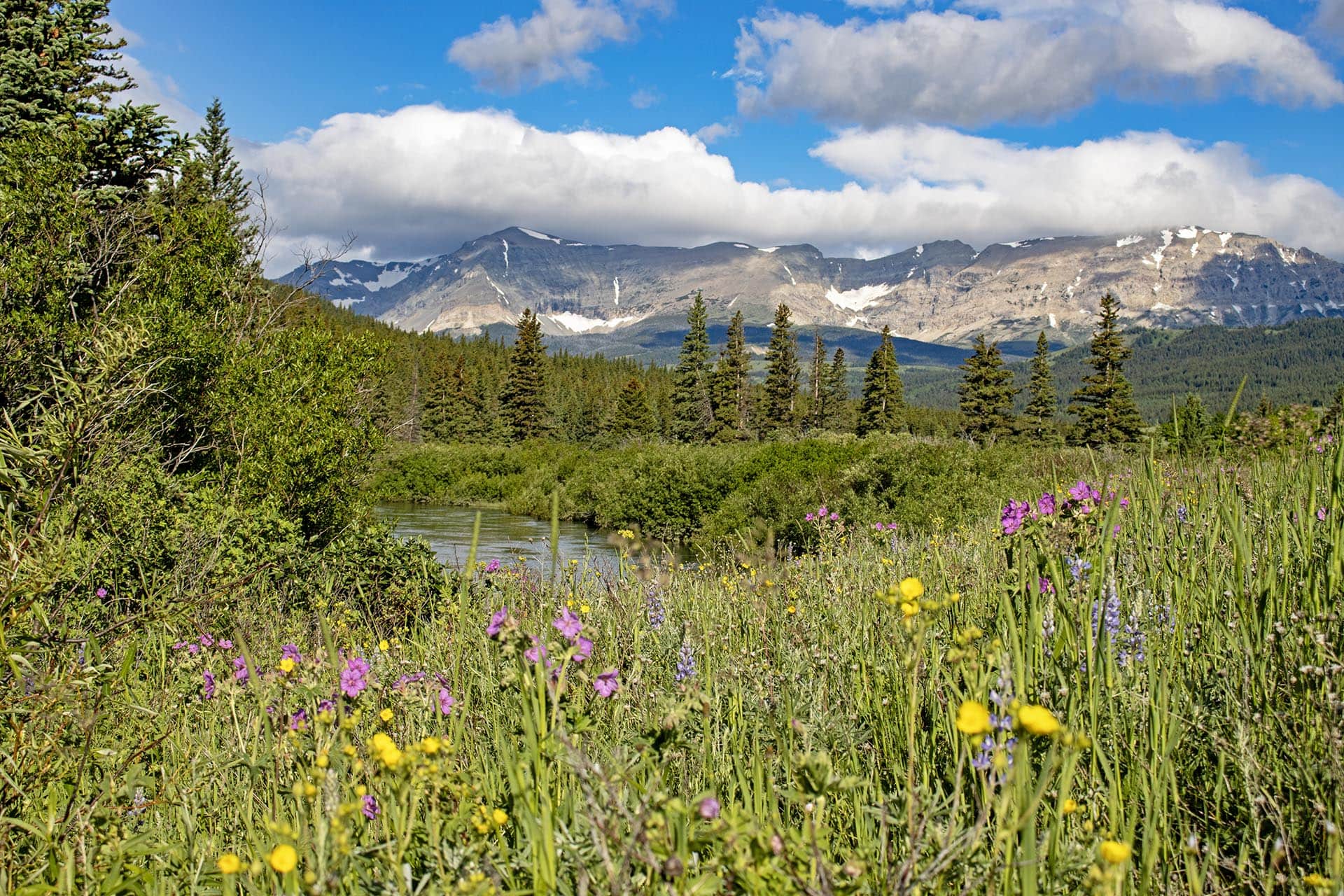 river frontage fishing property for sale montana cutbank creek fishing retreat