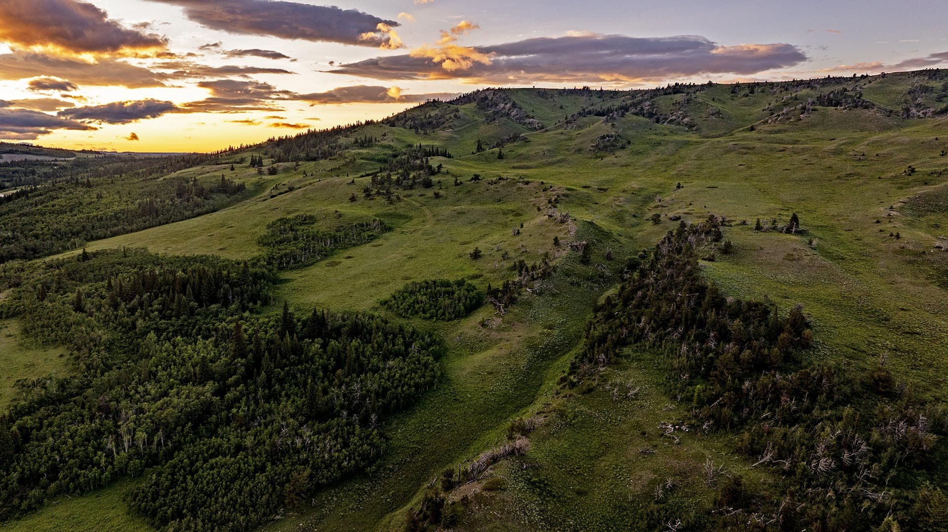 rolling hills land for sale view montana cutbank creek fishing retreat