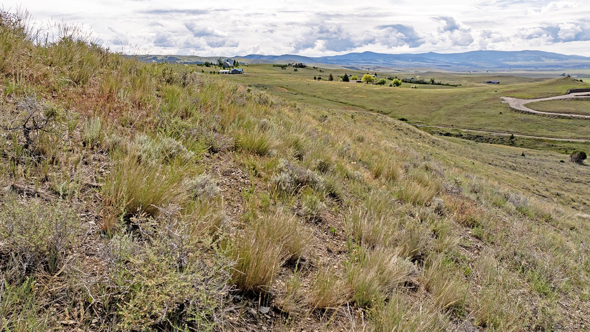 rolling pastures land for sale montana pintler views retreat