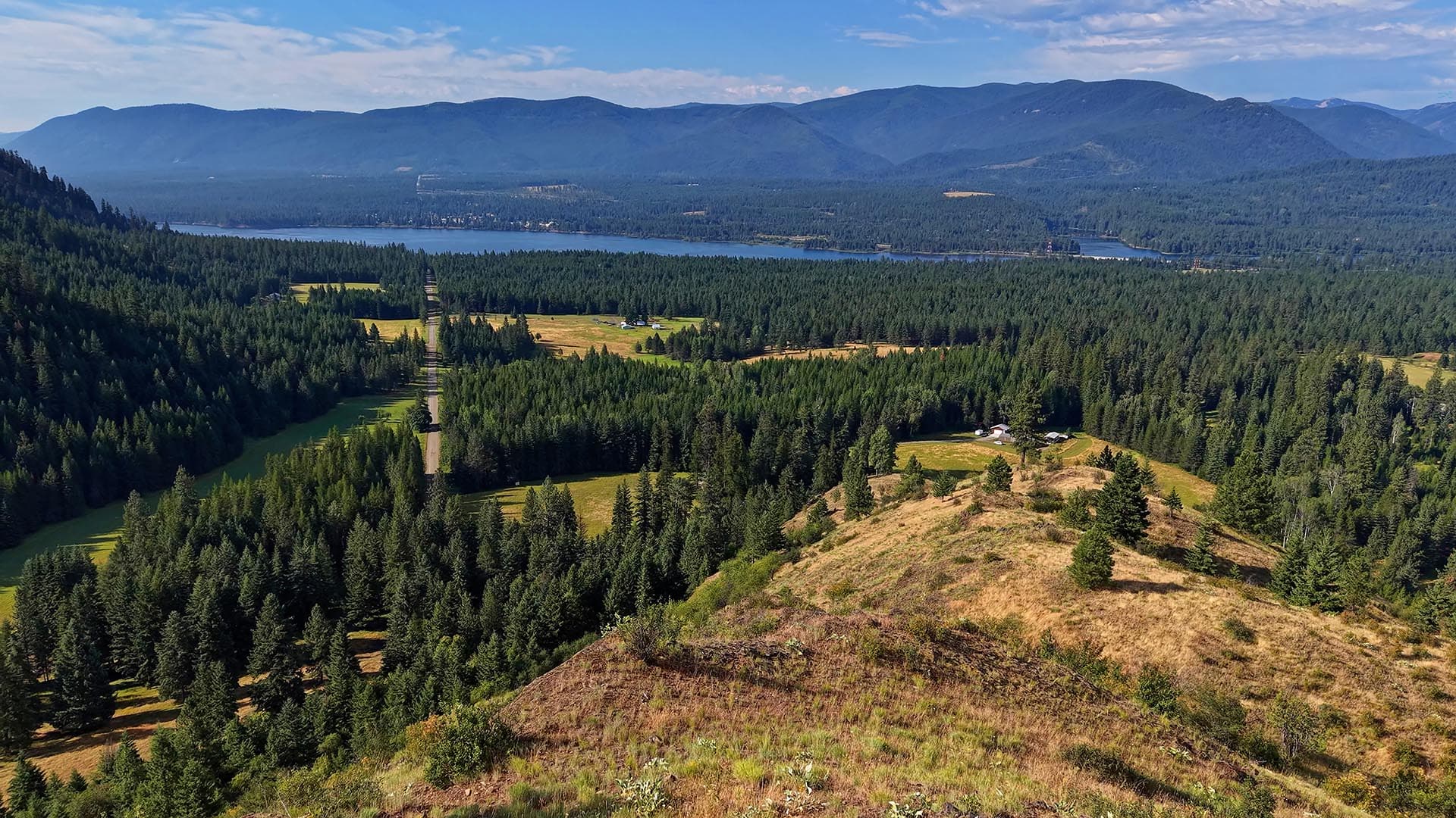 Aerial view of a forested valley with a lake and distant mountains under a blue sky to the horizon.