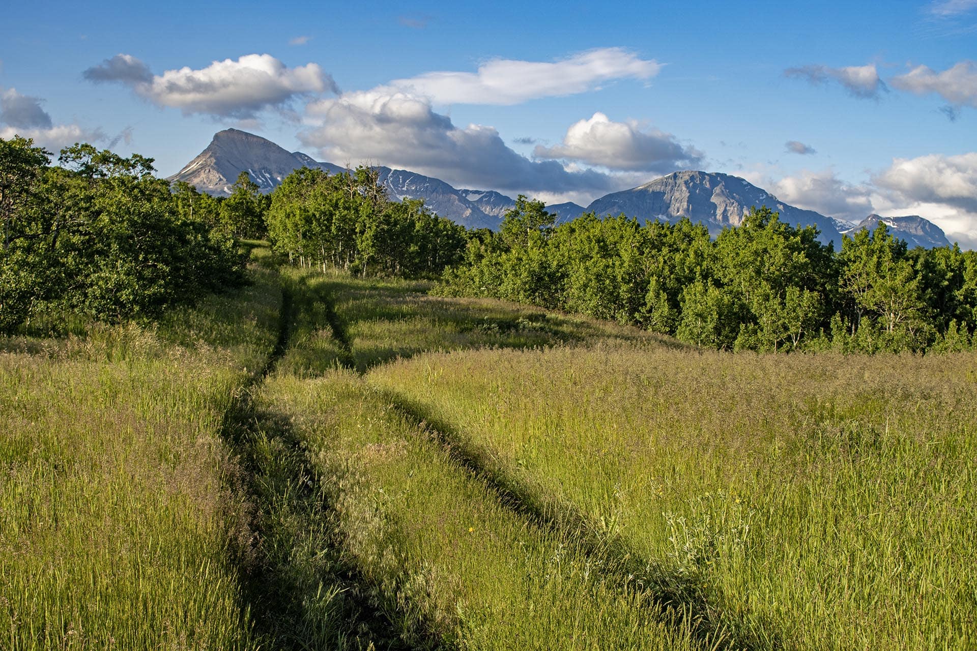 scenic mountain acreage land montana st. mary overlook