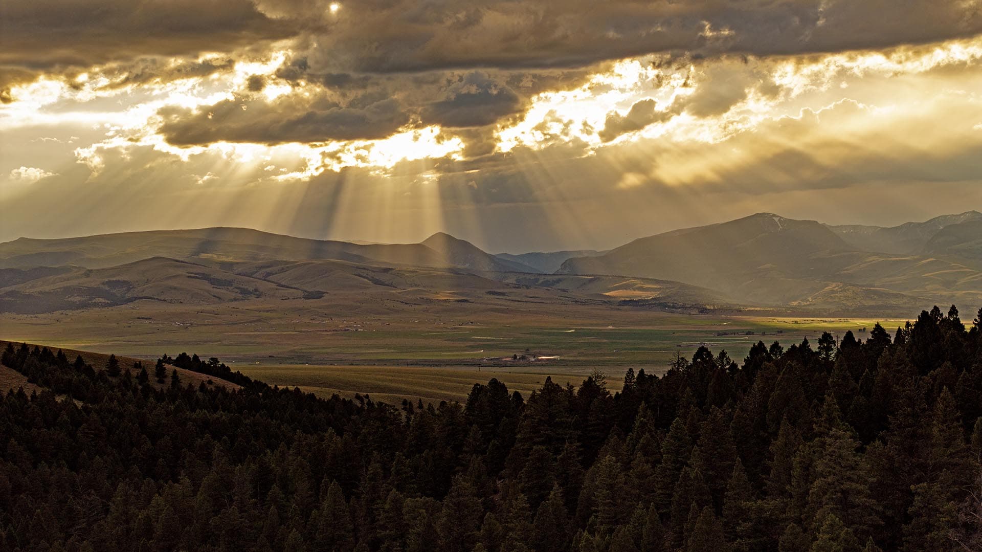 scenic mountain land for sale montana spotted dog retreat