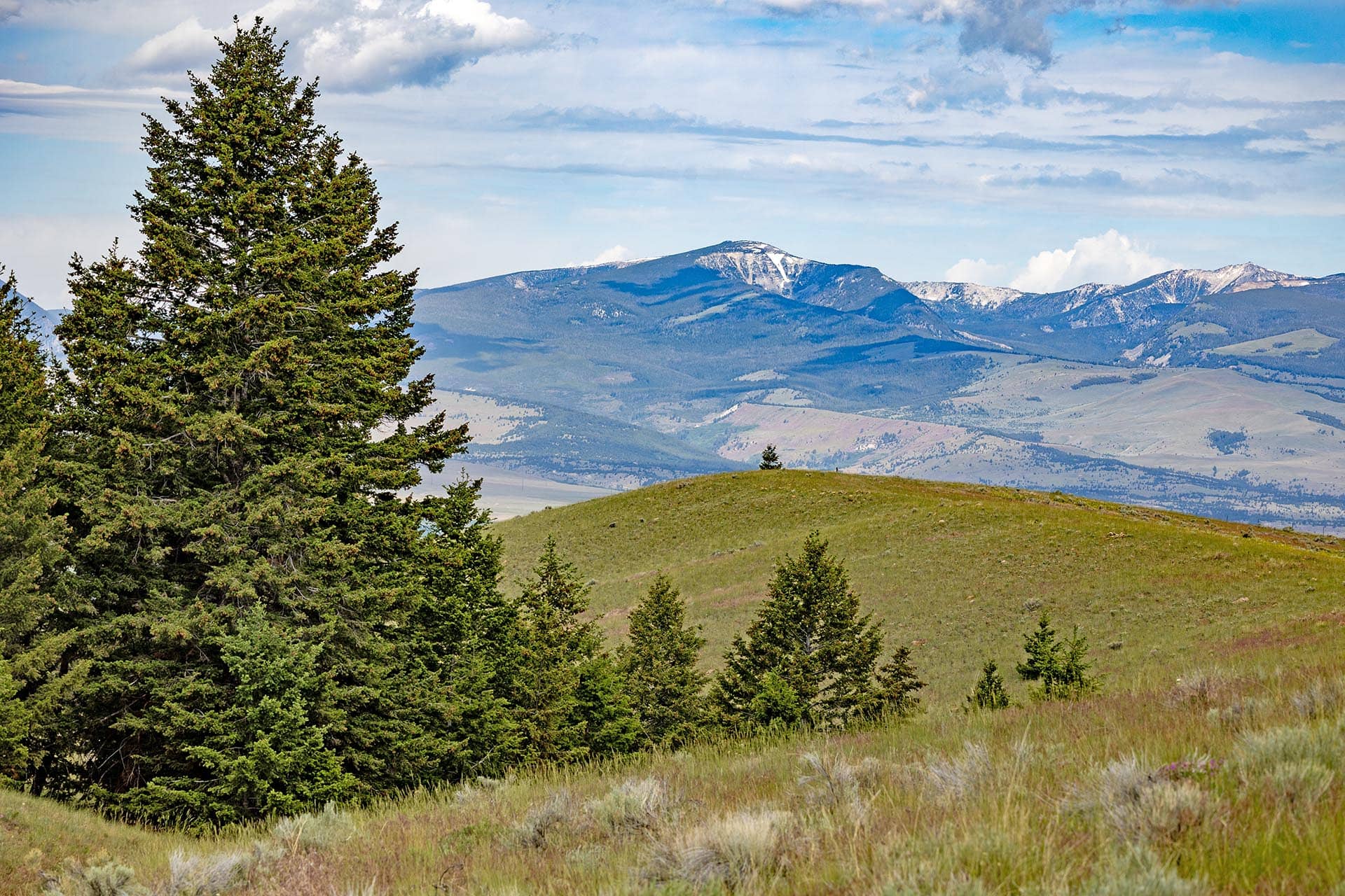 scenic mountain view acreage for sale montana spotted dog retreat