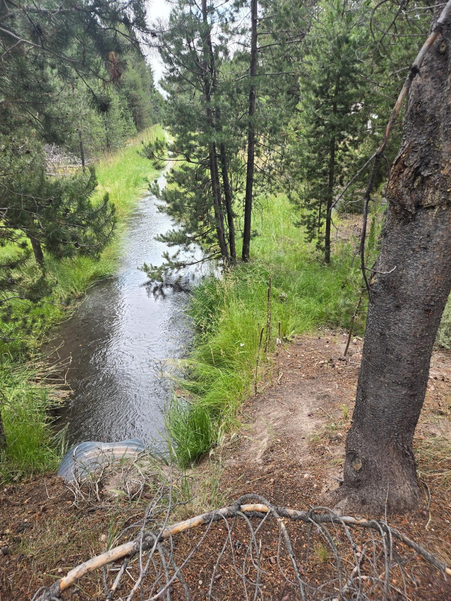 scott creek ditch oregon bar y ranch & pivots