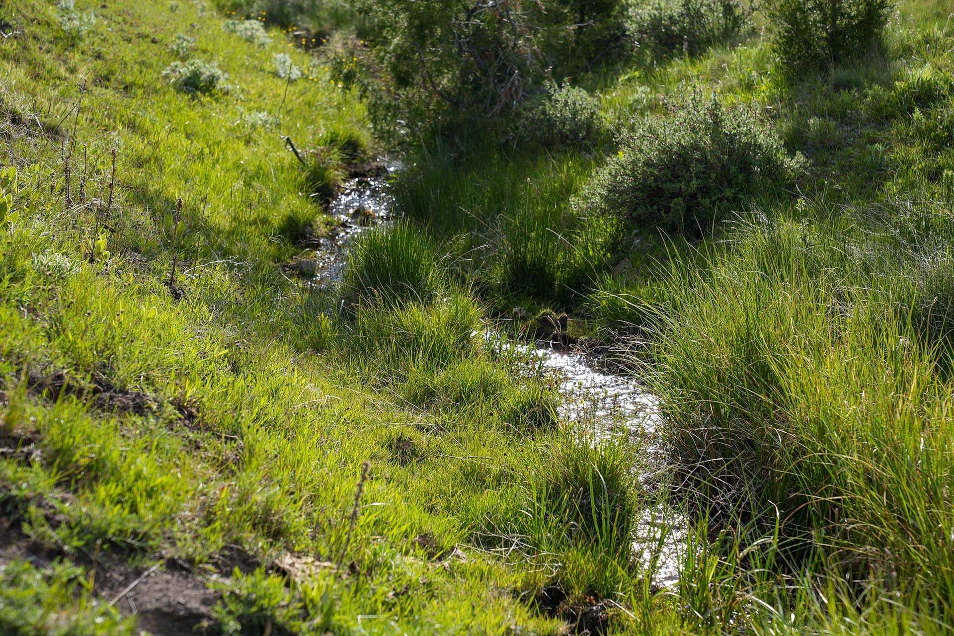 seasonal stream montana running j ranch