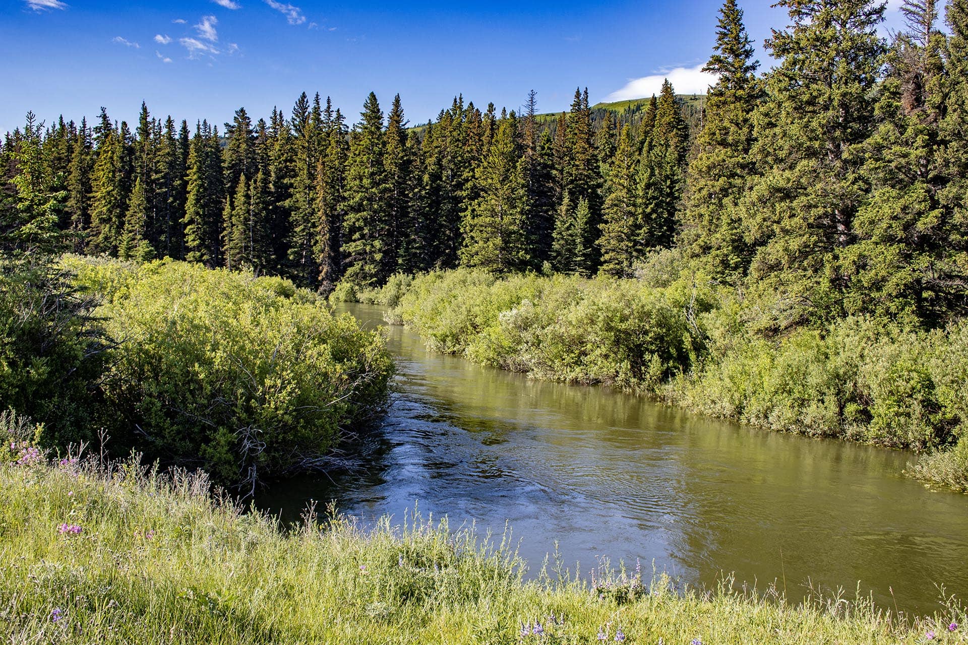 snow capped mountain views land montana cutbank creek fishing retreat