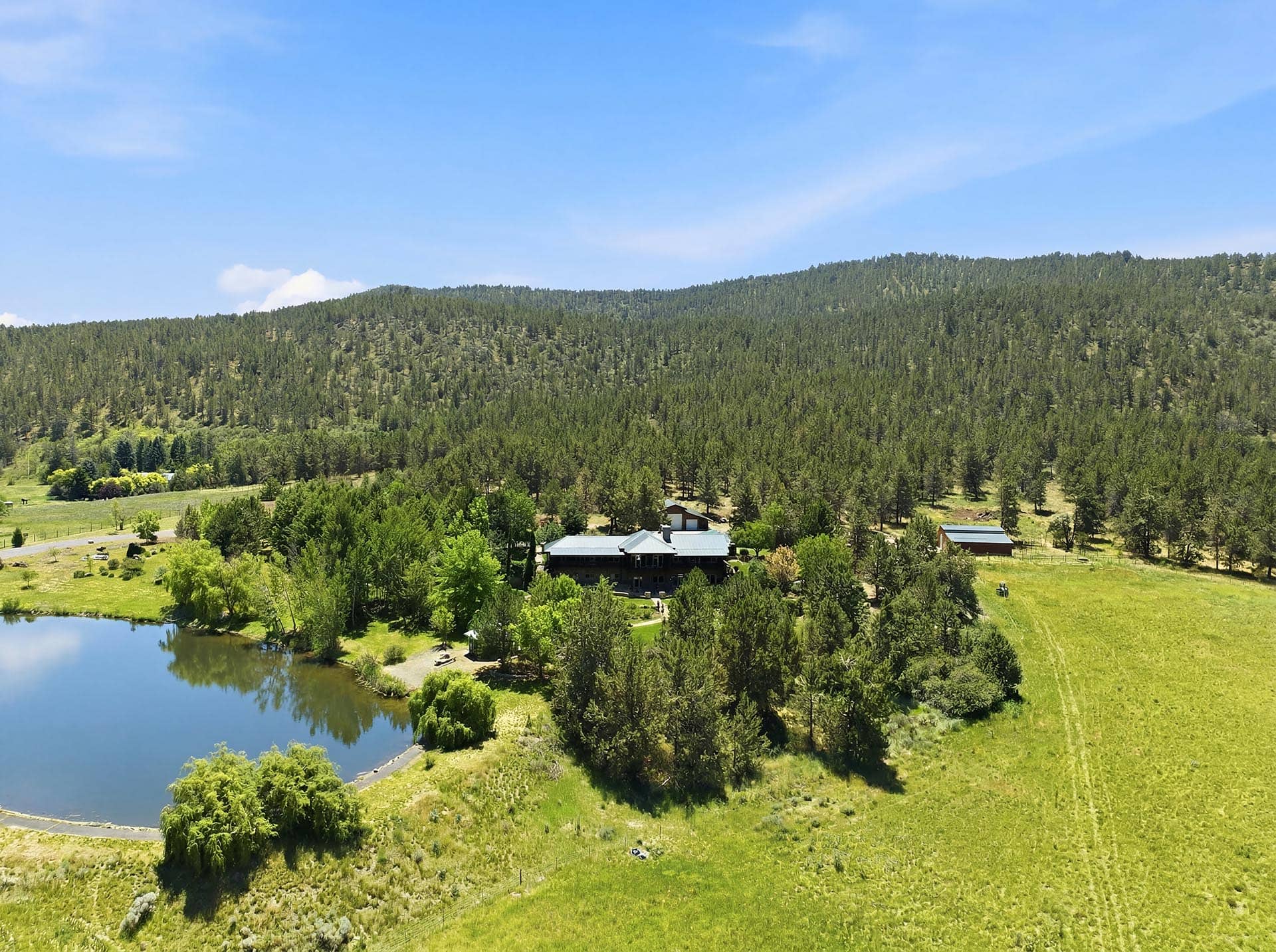 A lakeside rural property surrounded by pine trees and rolling green hills under a clear blue sky.