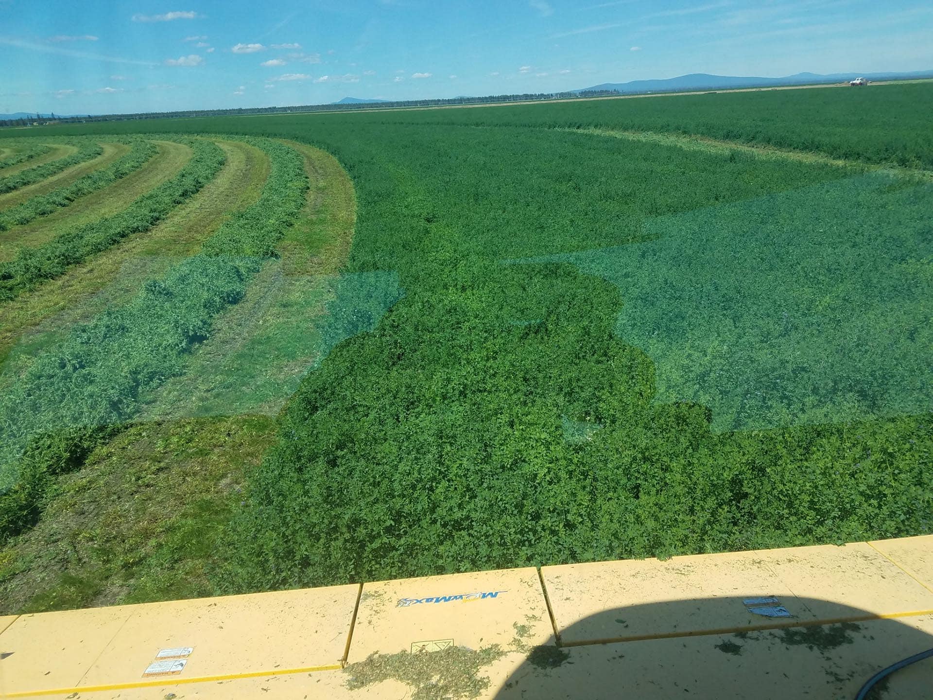 Expansive green farmland with curved crop rows under a clear blue sky, a concrete curb visible along the bottom edge.