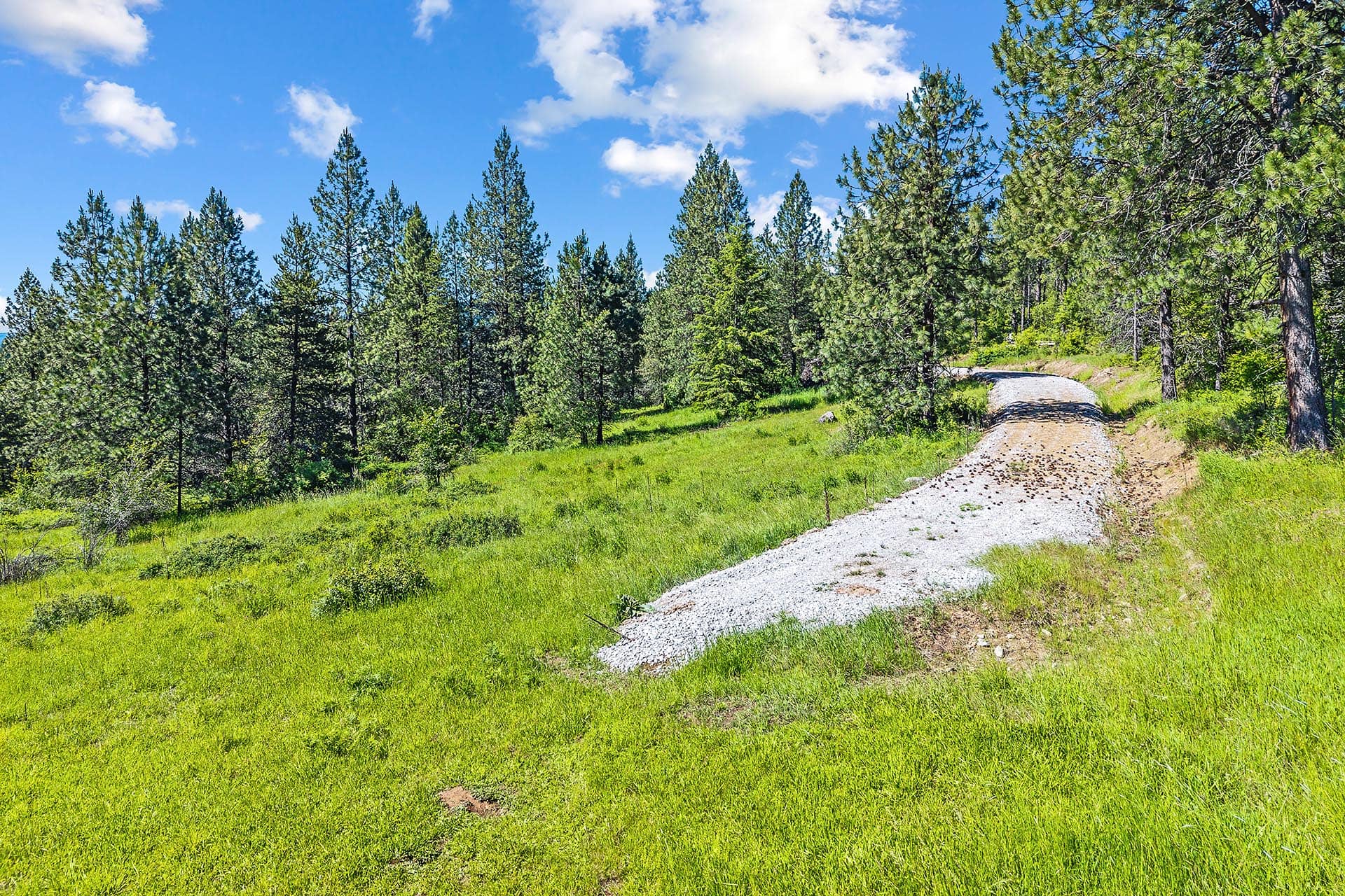 Gravel path winding through a green meadow with evergreen trees on a sunny day.