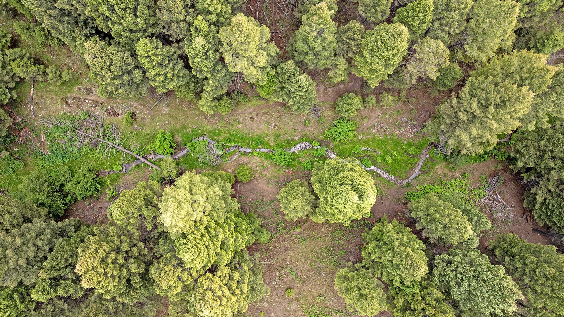 timbered creek land montana spotted dog retreat