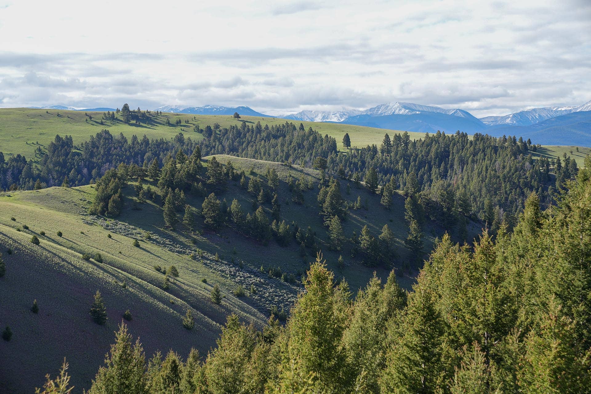 timbered draw montana running j ranch