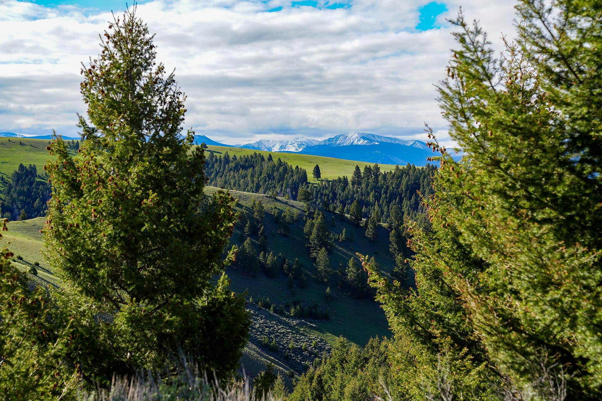 timbered hills montana running j ranch