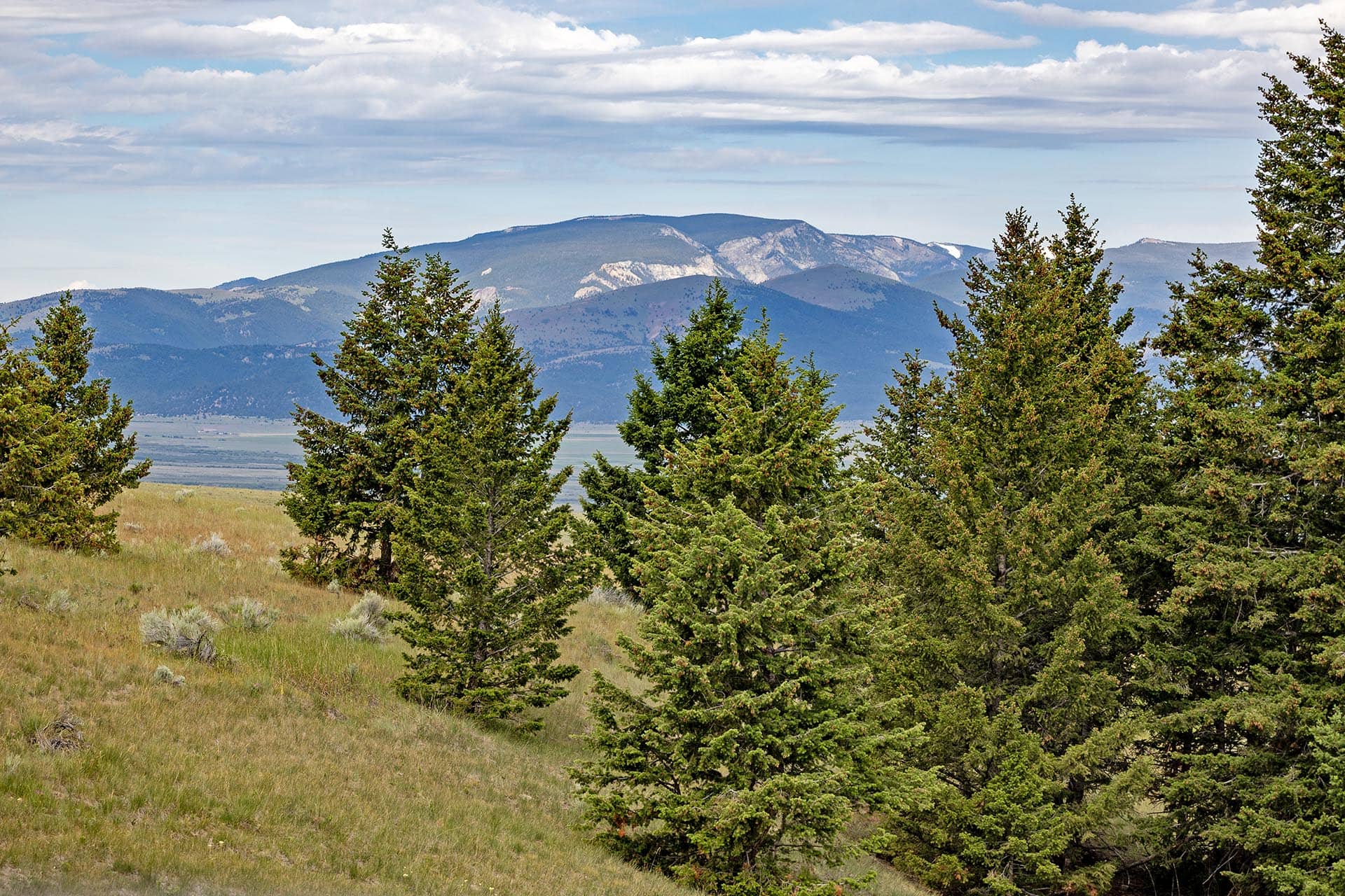 timbered land with mountain views montana spotted dog retreat