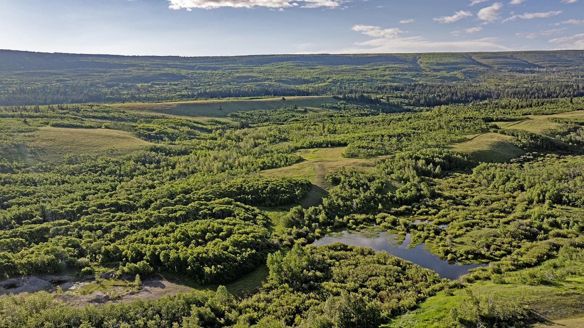 timbered land with pond montana st. mary overlook