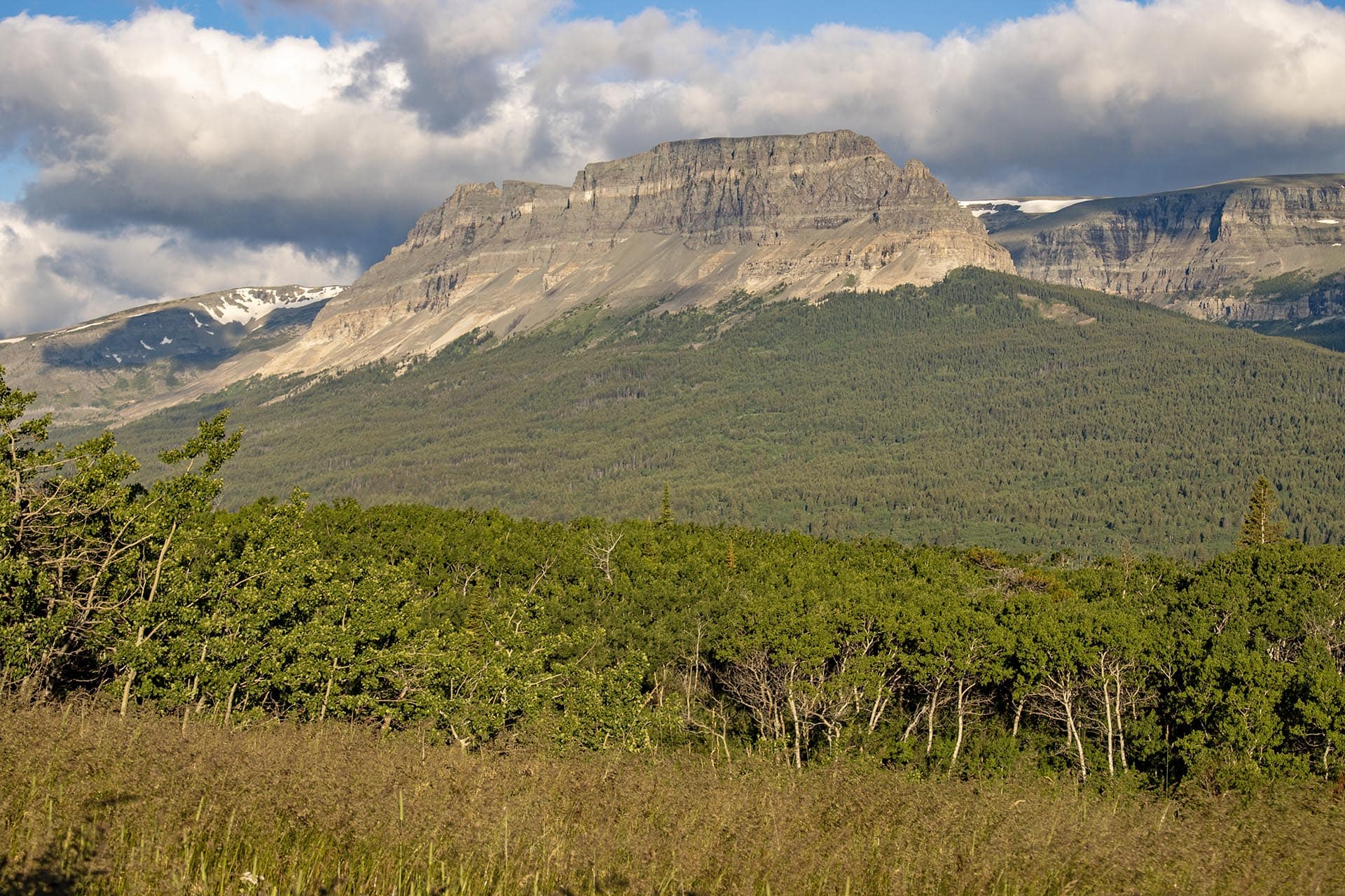 timbered mountain land montana st. mary overlook