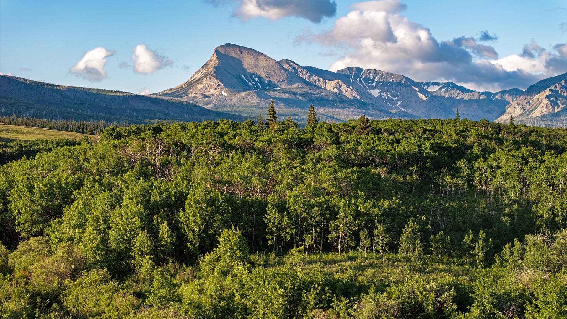 timbered mountain view property for sale montana st. mary overlook