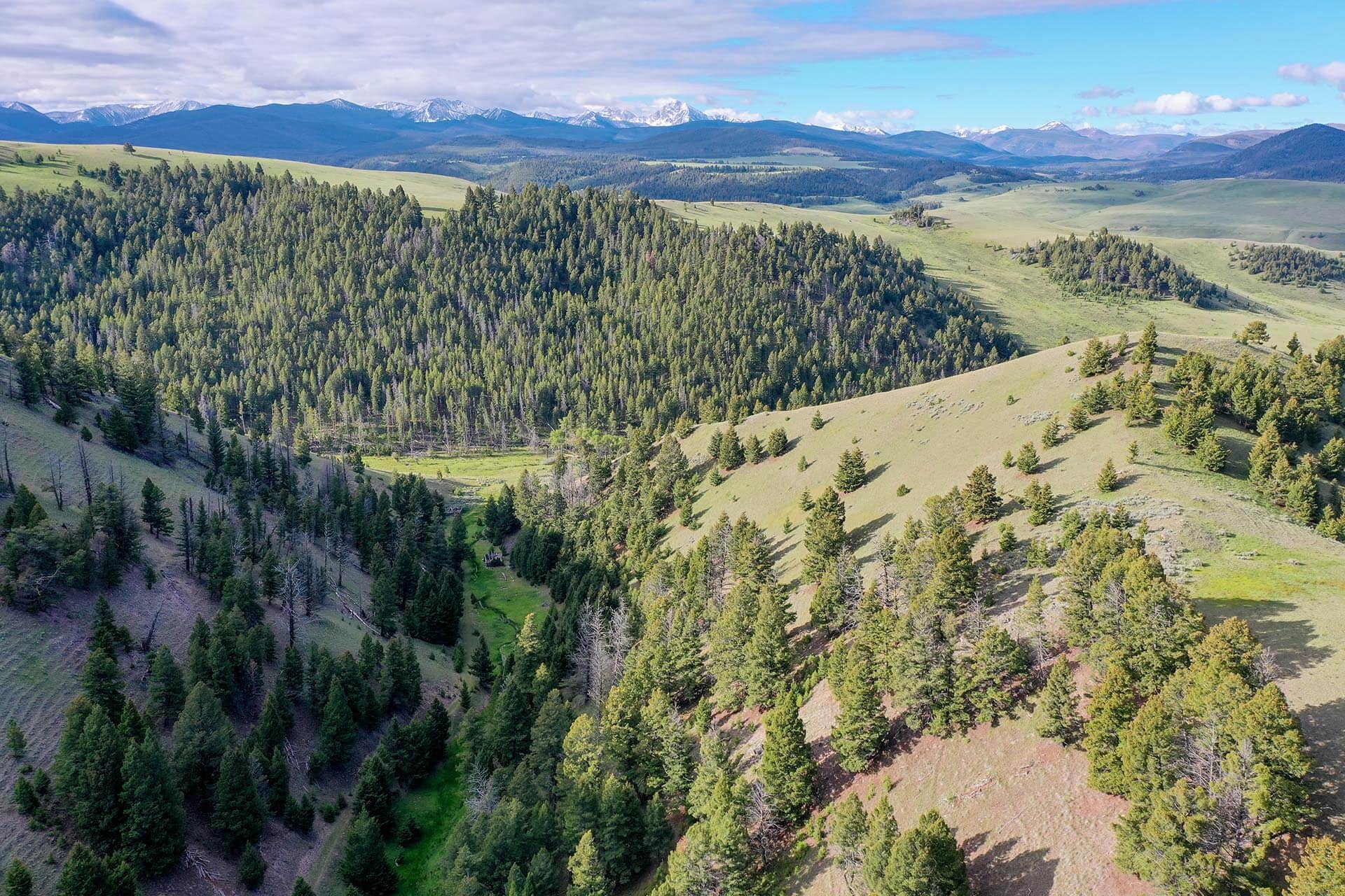 timbered ridges montana running j ranch