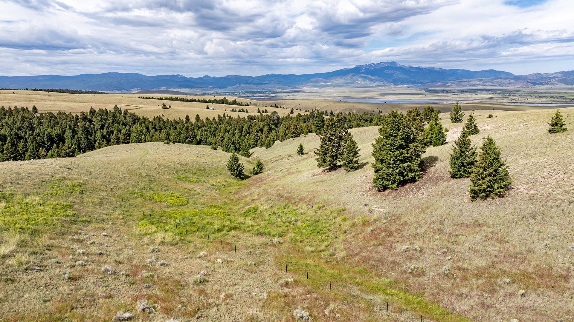 timbered rolling hills land montana spotted dog retreat