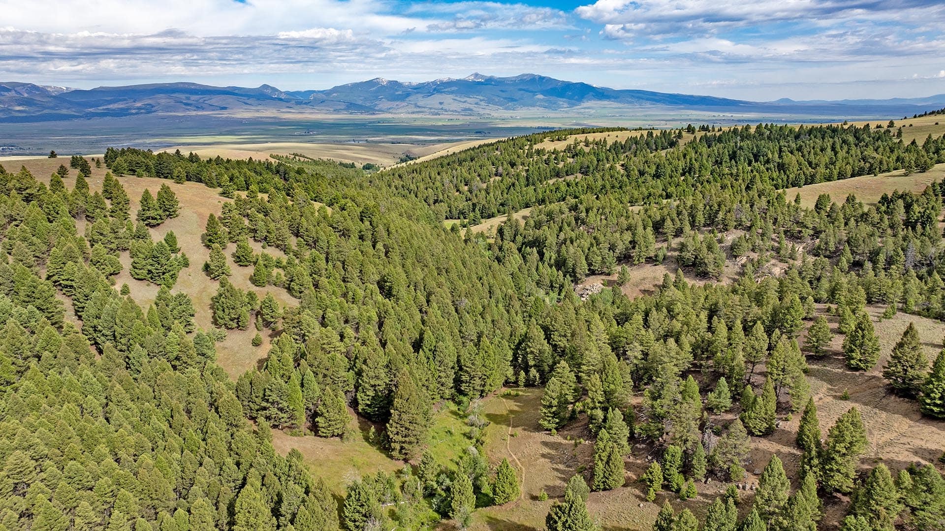 timbered valley land for sale montana spotted dog retreat