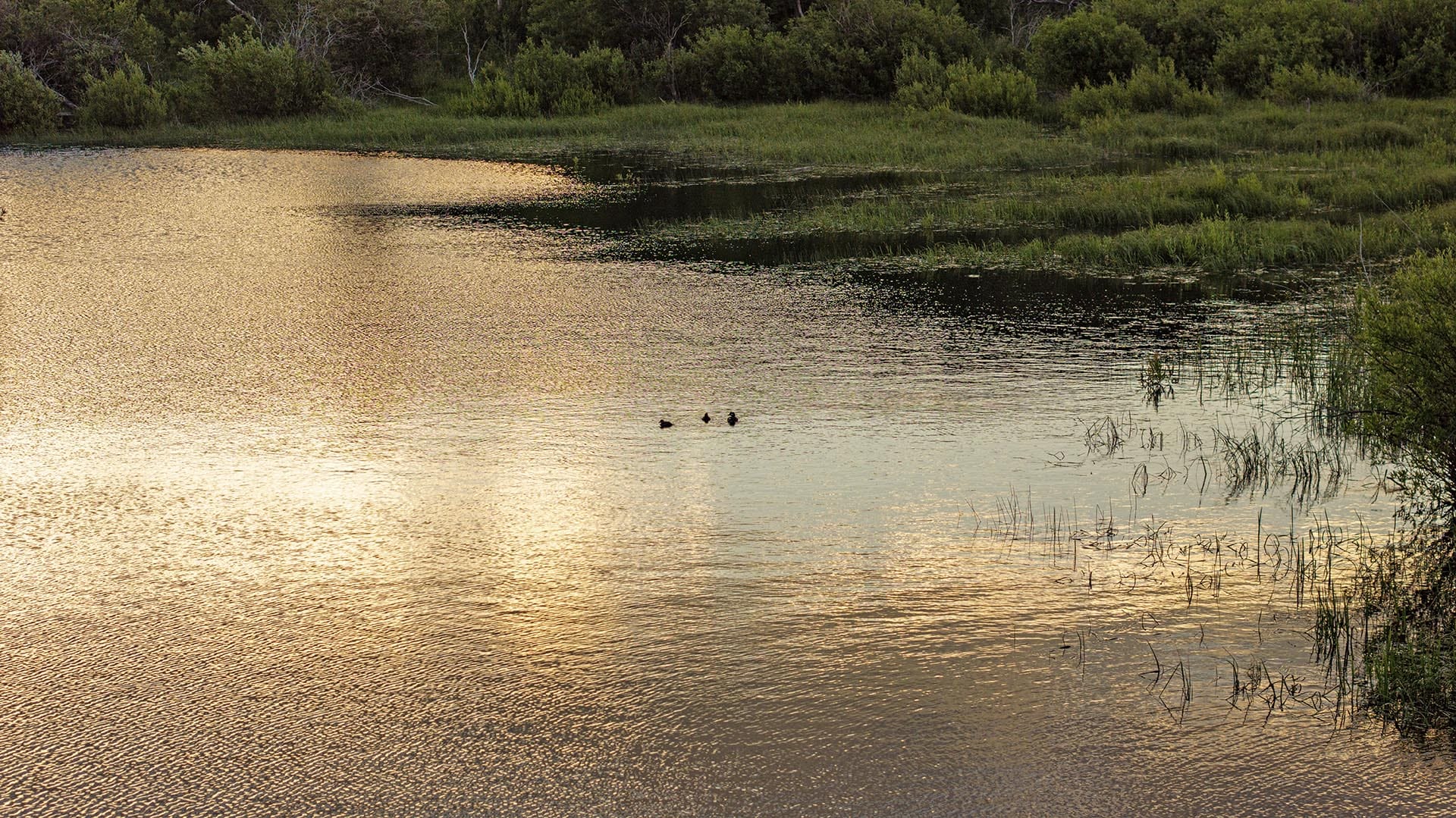 tranquil pond land for sale montana st. mary overlook