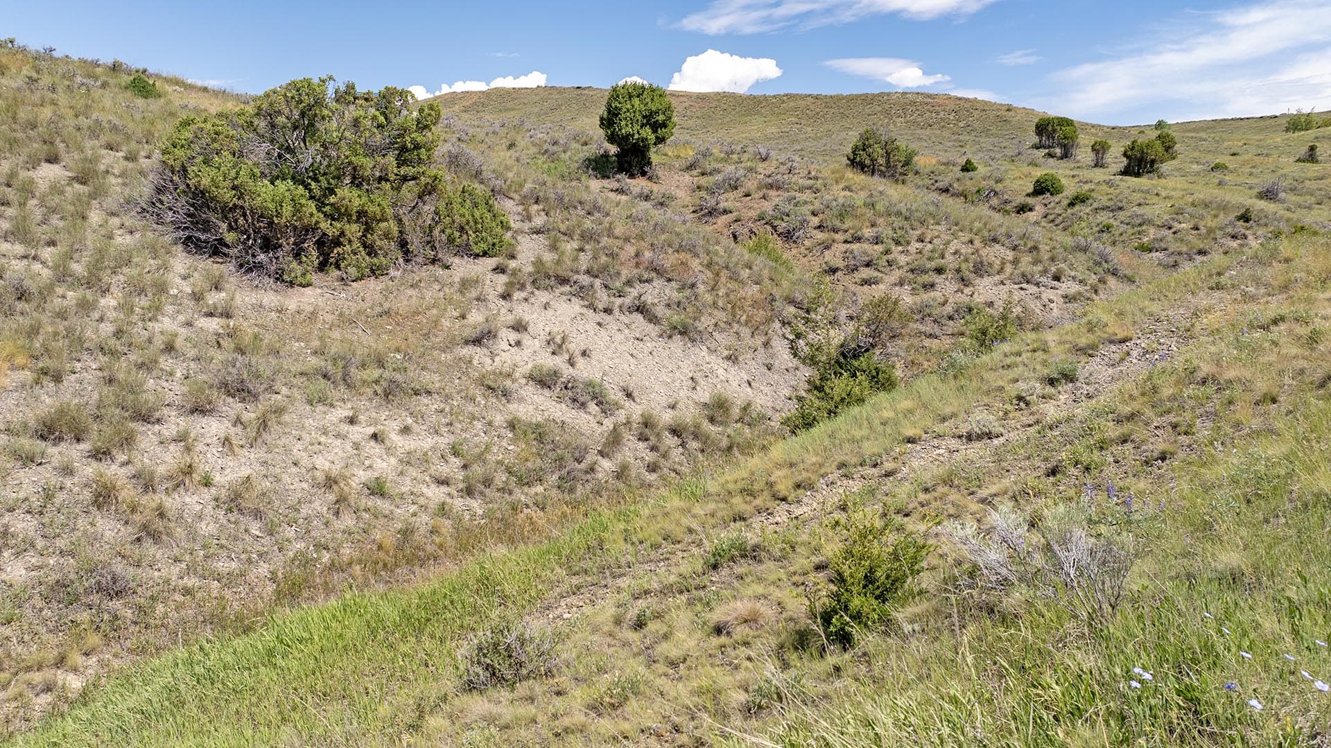 undeveloped acreage for sale montana pintler views retreat