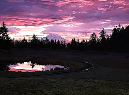 Silhouette of pine trees around a small reflective pond at sunset with a purple-pink sky.