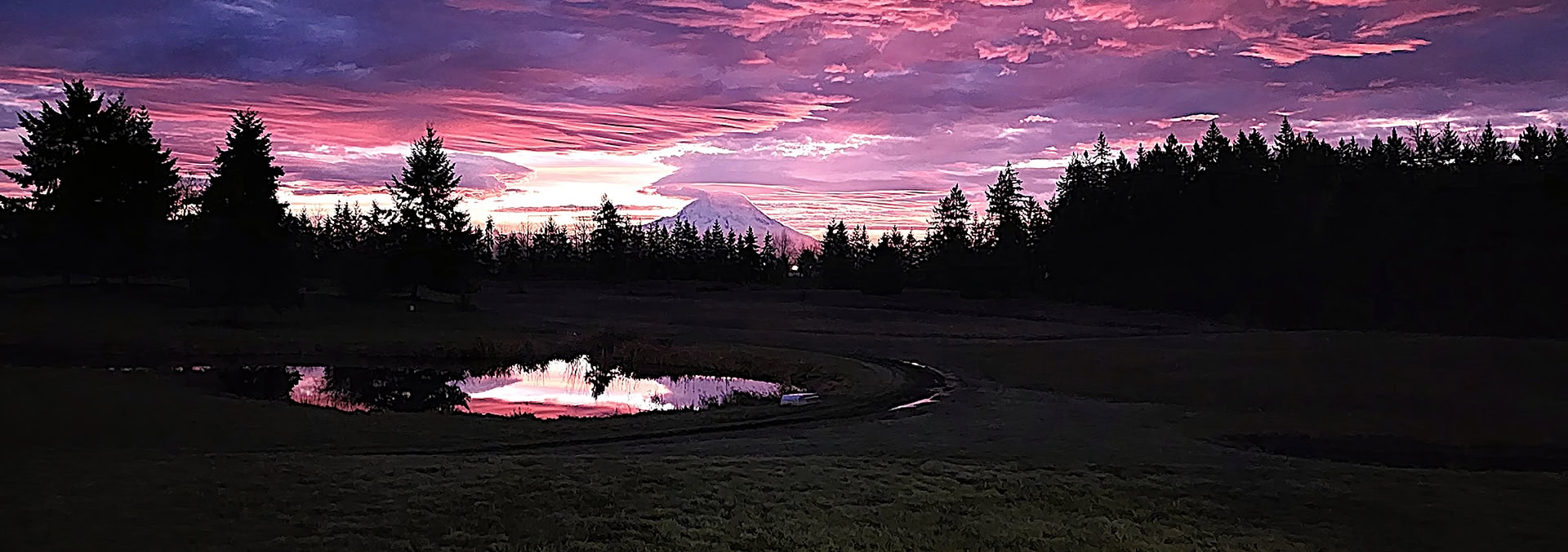 Silhouette of pine trees around a small reflective pond at sunset with a purple-pink sky.