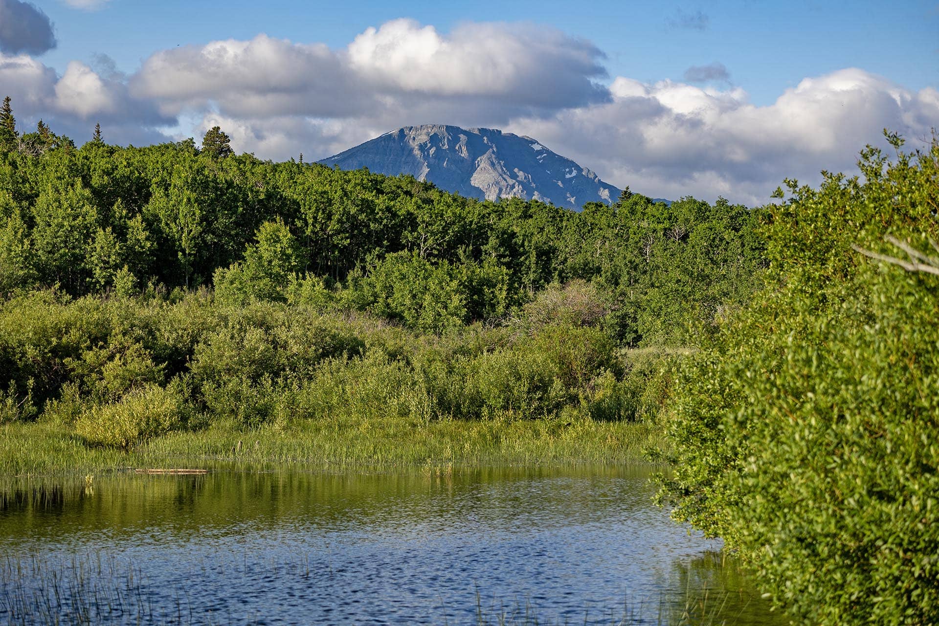 water frontage land for sale montana st. mary overlook