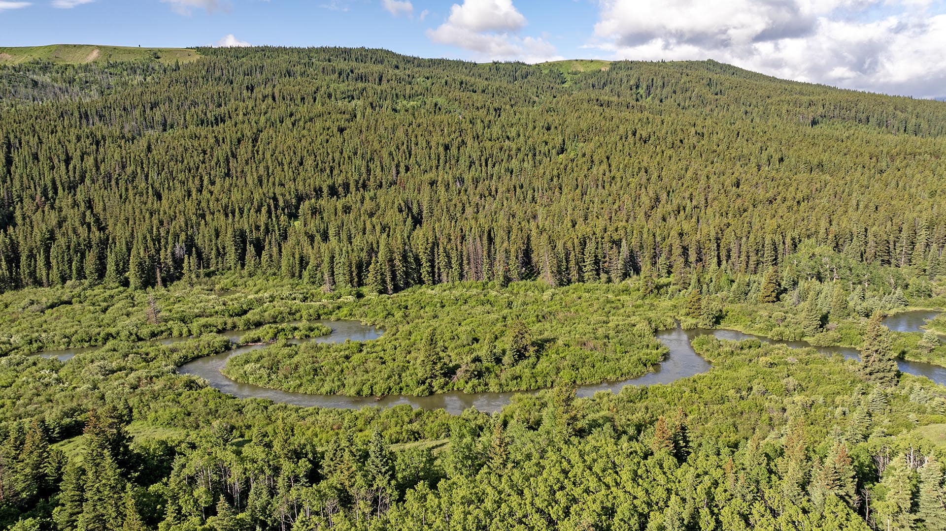 water frontage land montana cutbank creek fishing retreat