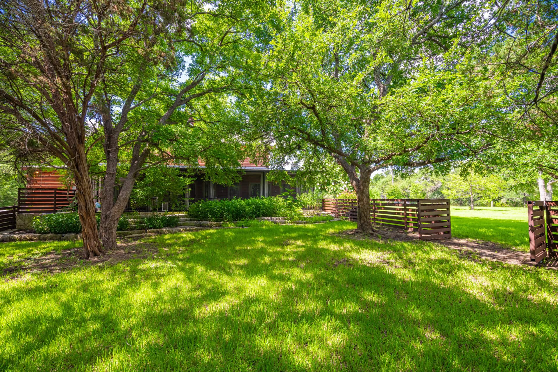 Front yard with two large trees over a bright green lawn and a brown wooden fence; a house is visible behind the trees.
