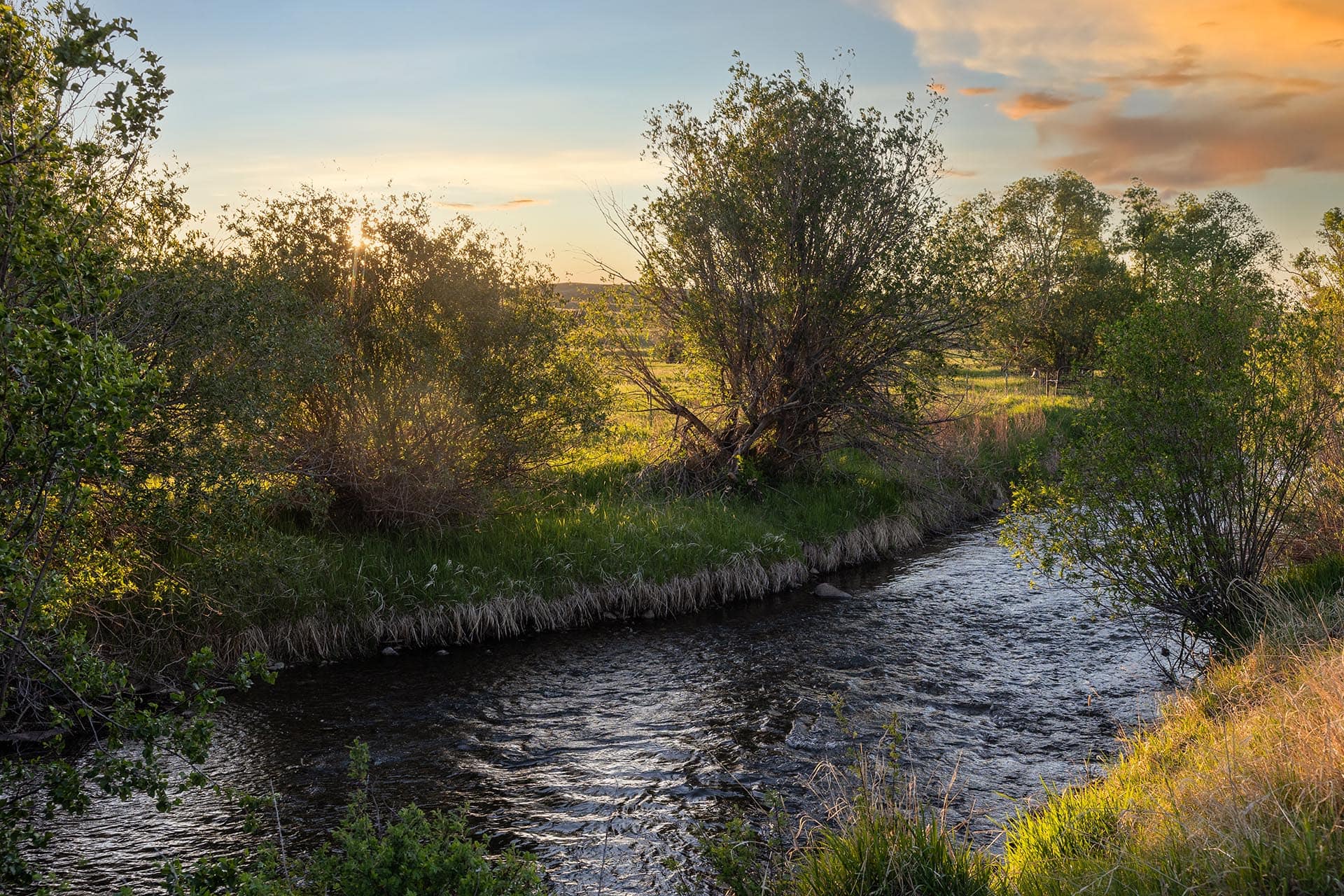 Sunlit river winding through a grassy riverbank with dense trees on both sides at sunset.