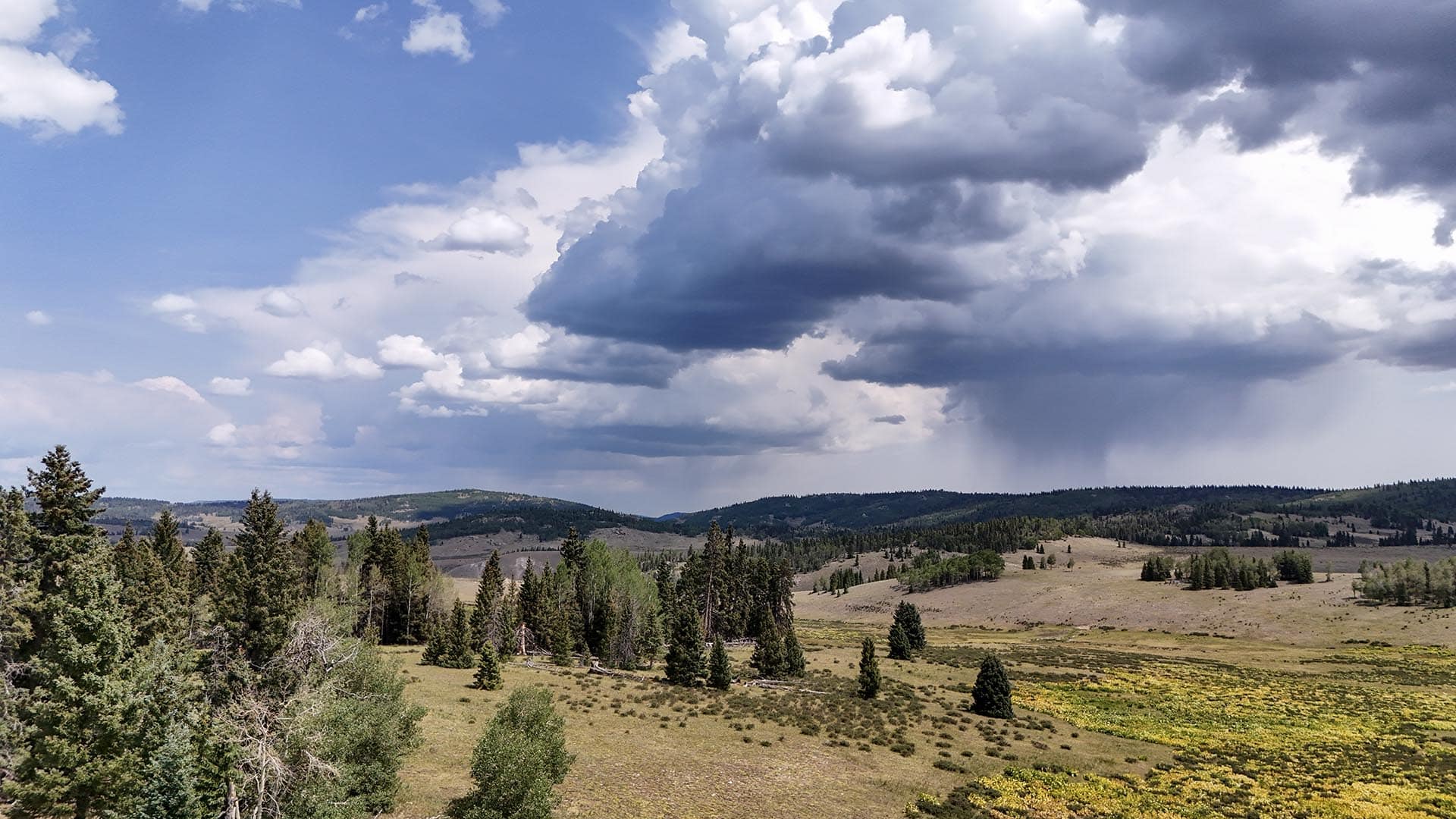 Open grassland with scattered trees under dark storm clouds and rain approaching on the right side.