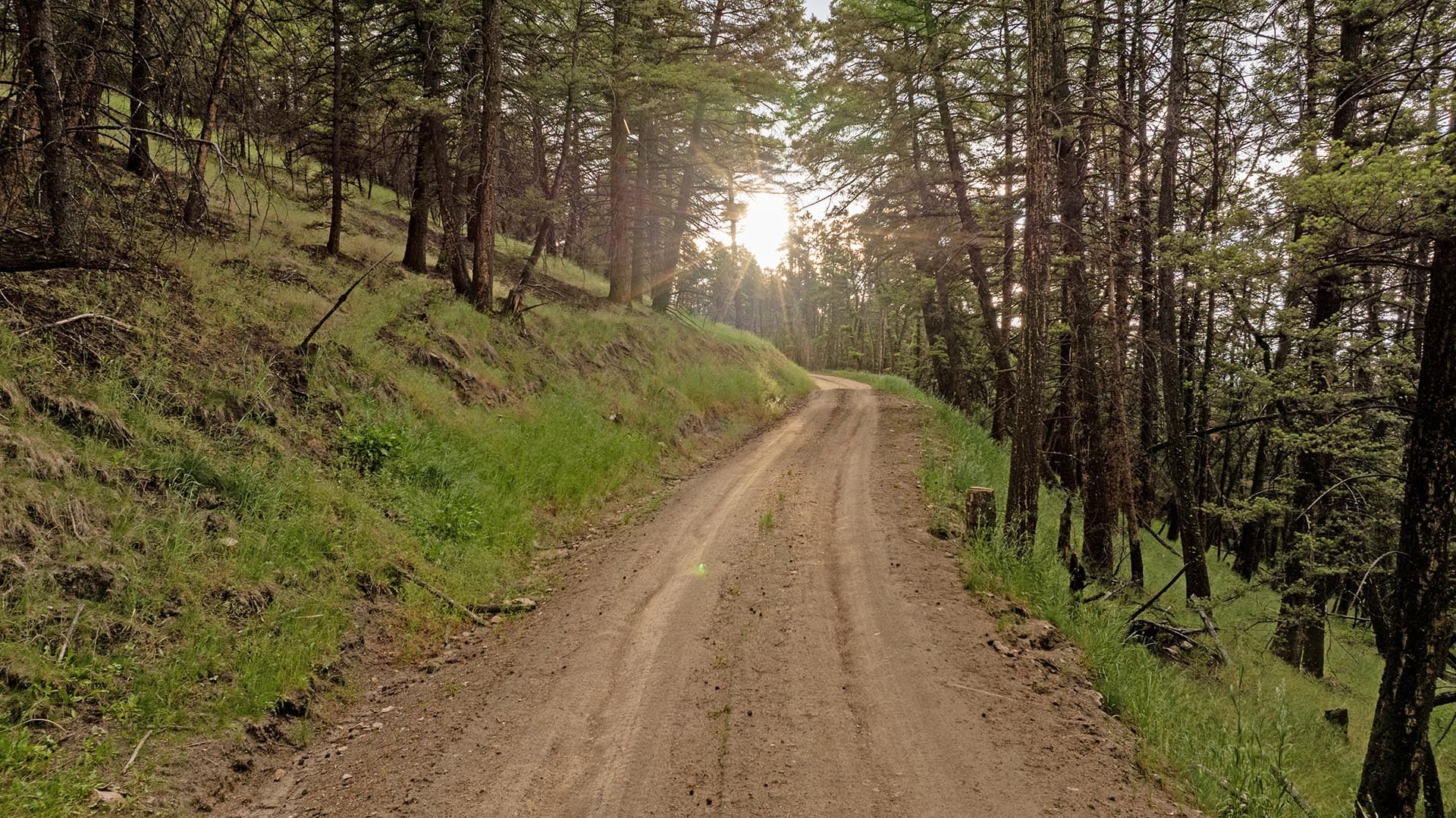 wooded land with private access road montana spotted dog retreat