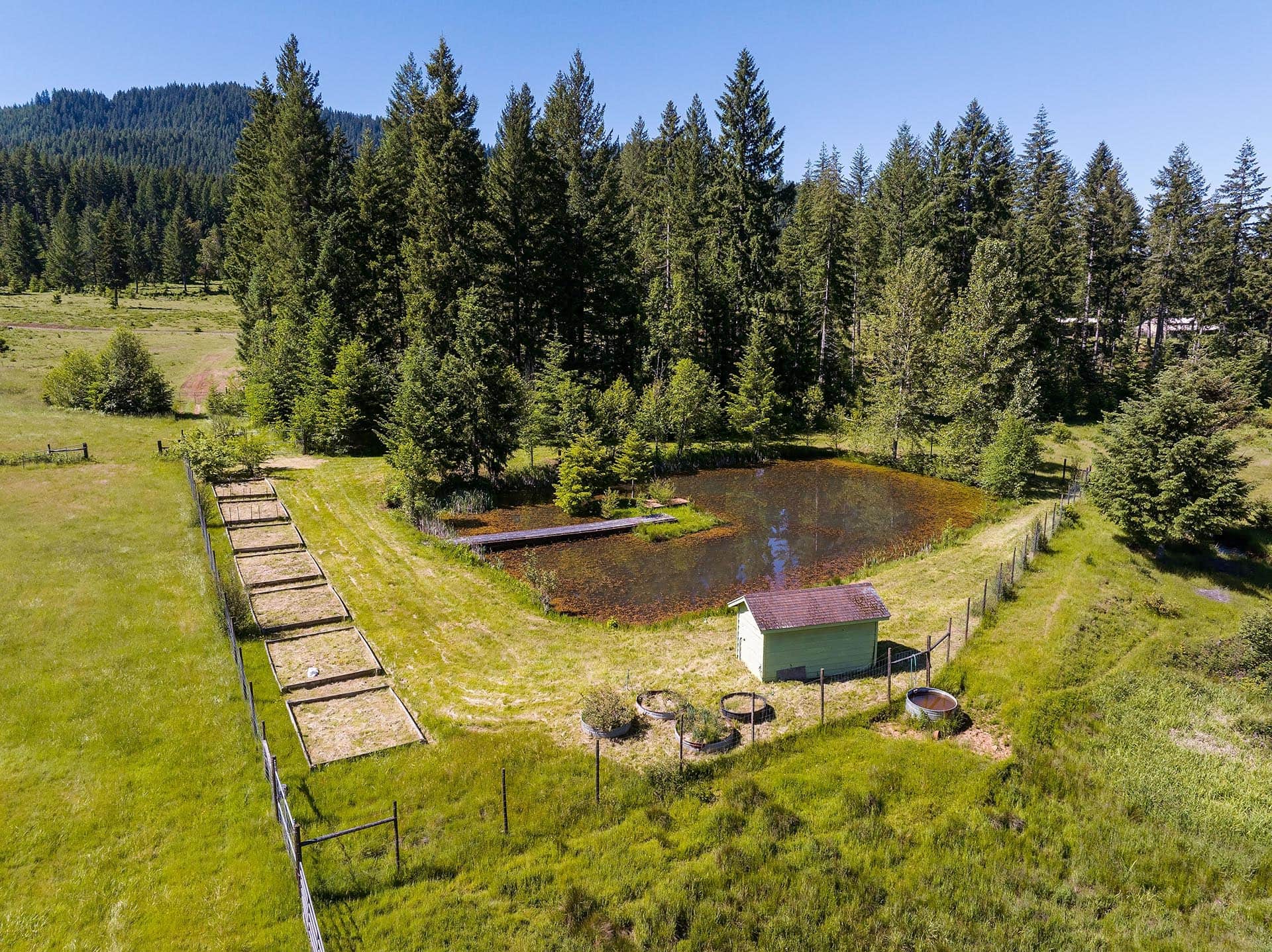 working cattle ranch oregon north fork ranch