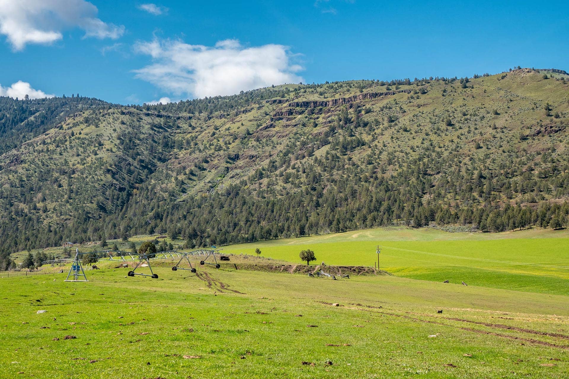 Green farmland in the foreground with irrigation equipment, rolling grassy hills and a forested ridge under a blue sky
