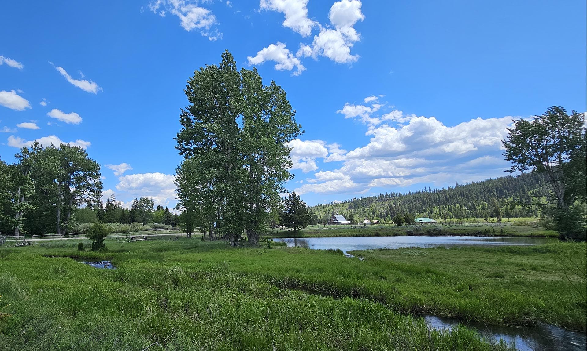 Big Sky Country Montana Willow Creek Reserve