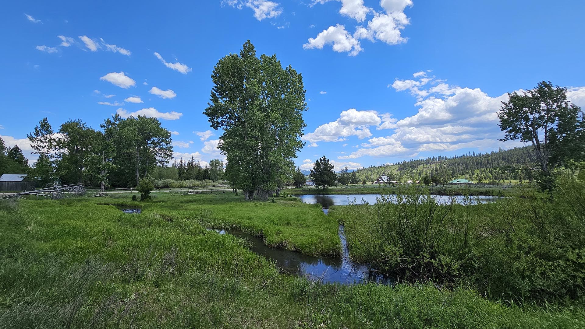 Fishing Ponds Montana Willow Creek Reserve
