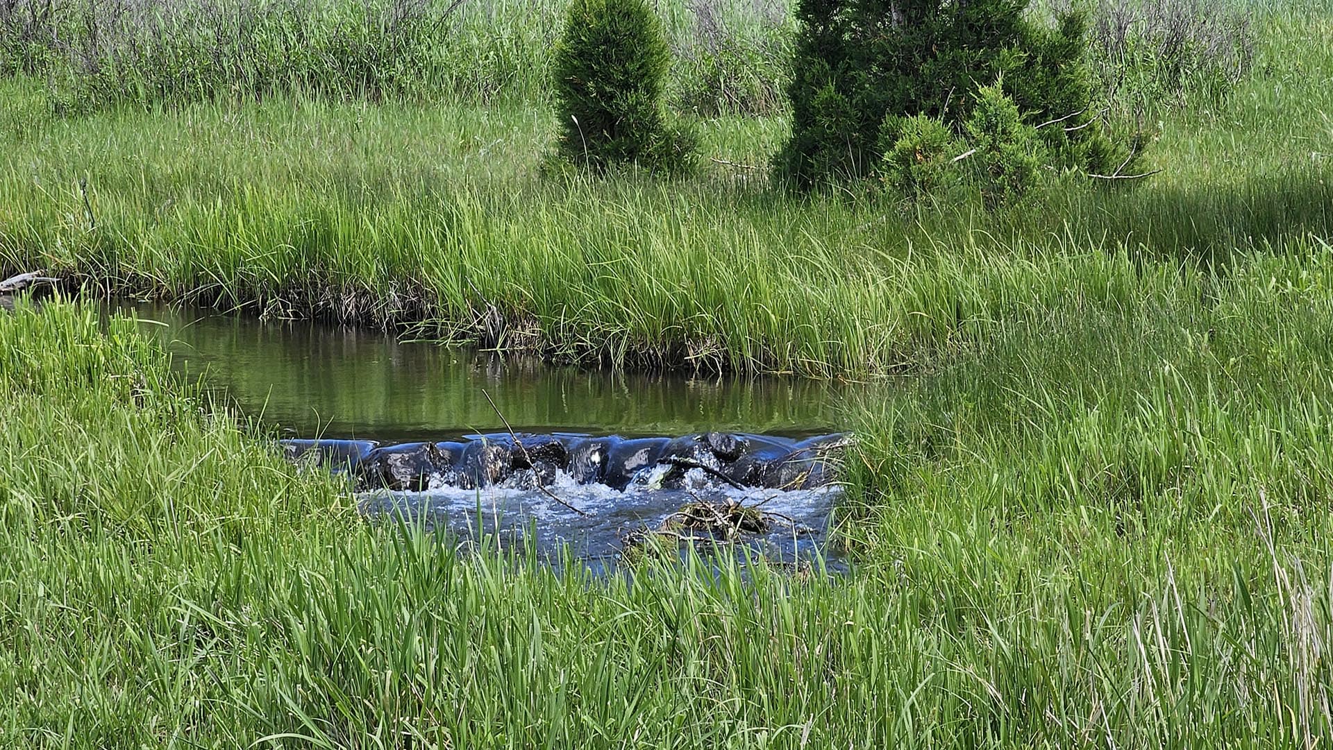 Spring Water Montana Willow Creek Reserve