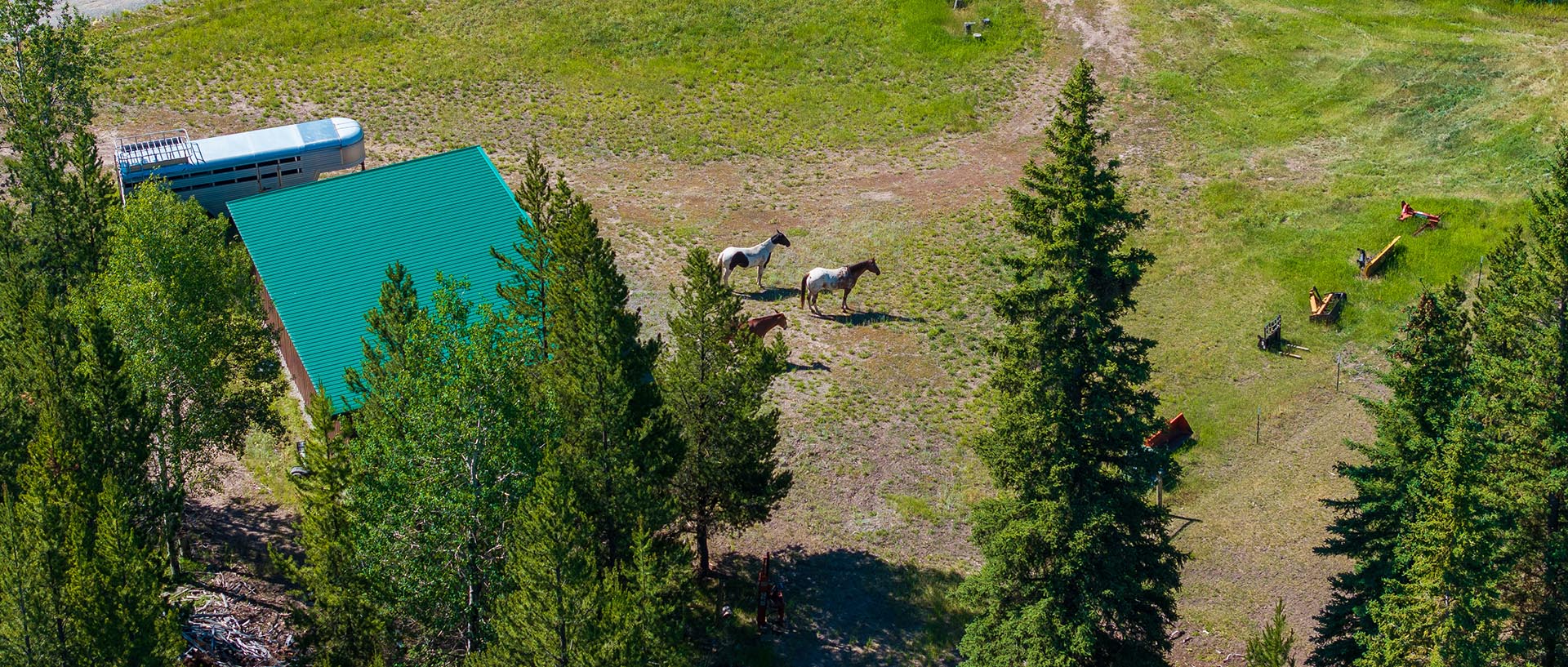 Trail Riding Montana Willow Creek Reserve