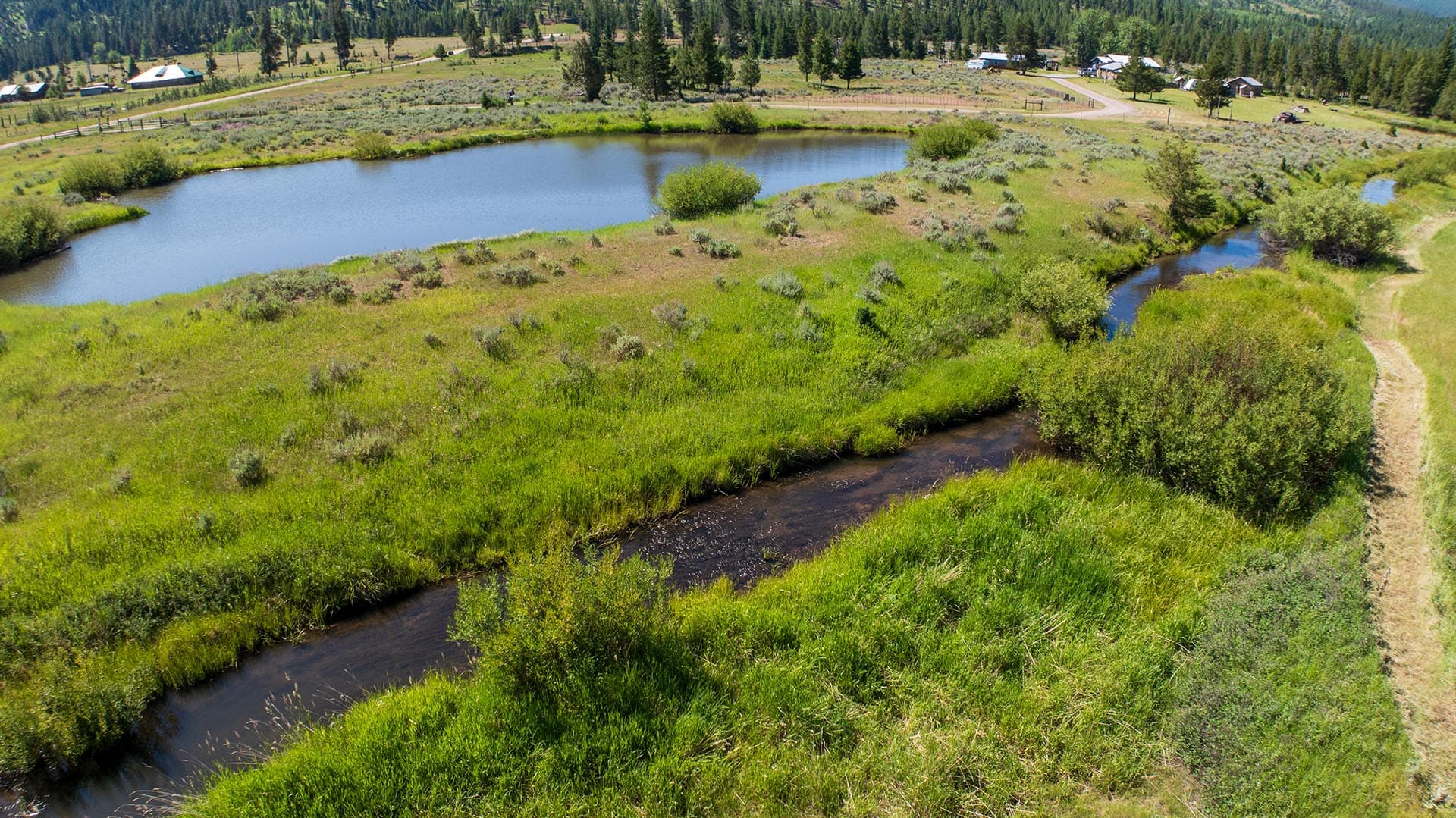 Trout Fishing Montana Willow Creek Reserve