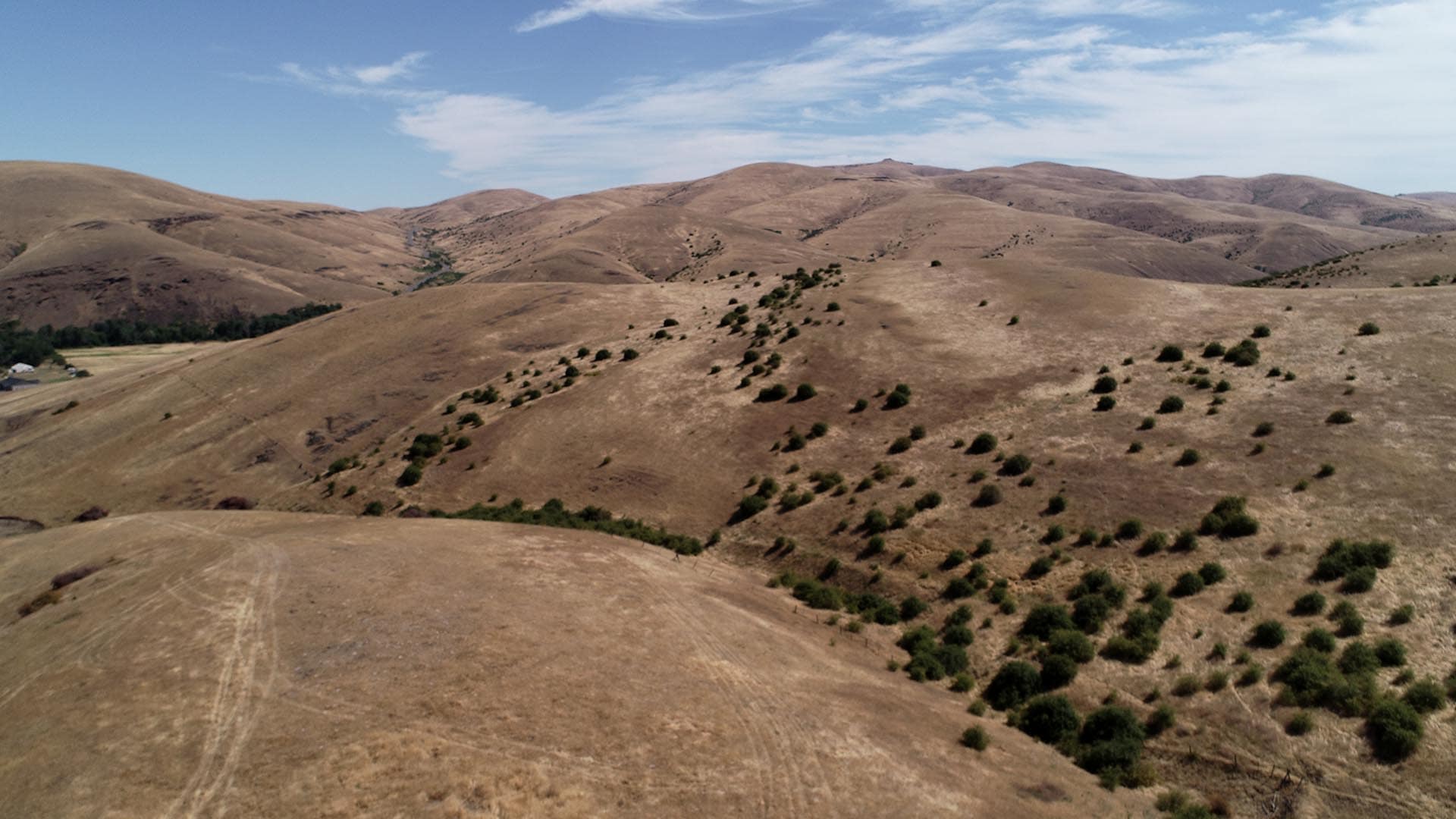 Dry, rolling brown hills with sparse shrubs under a blue sky; a few small structures visible on the left horizon